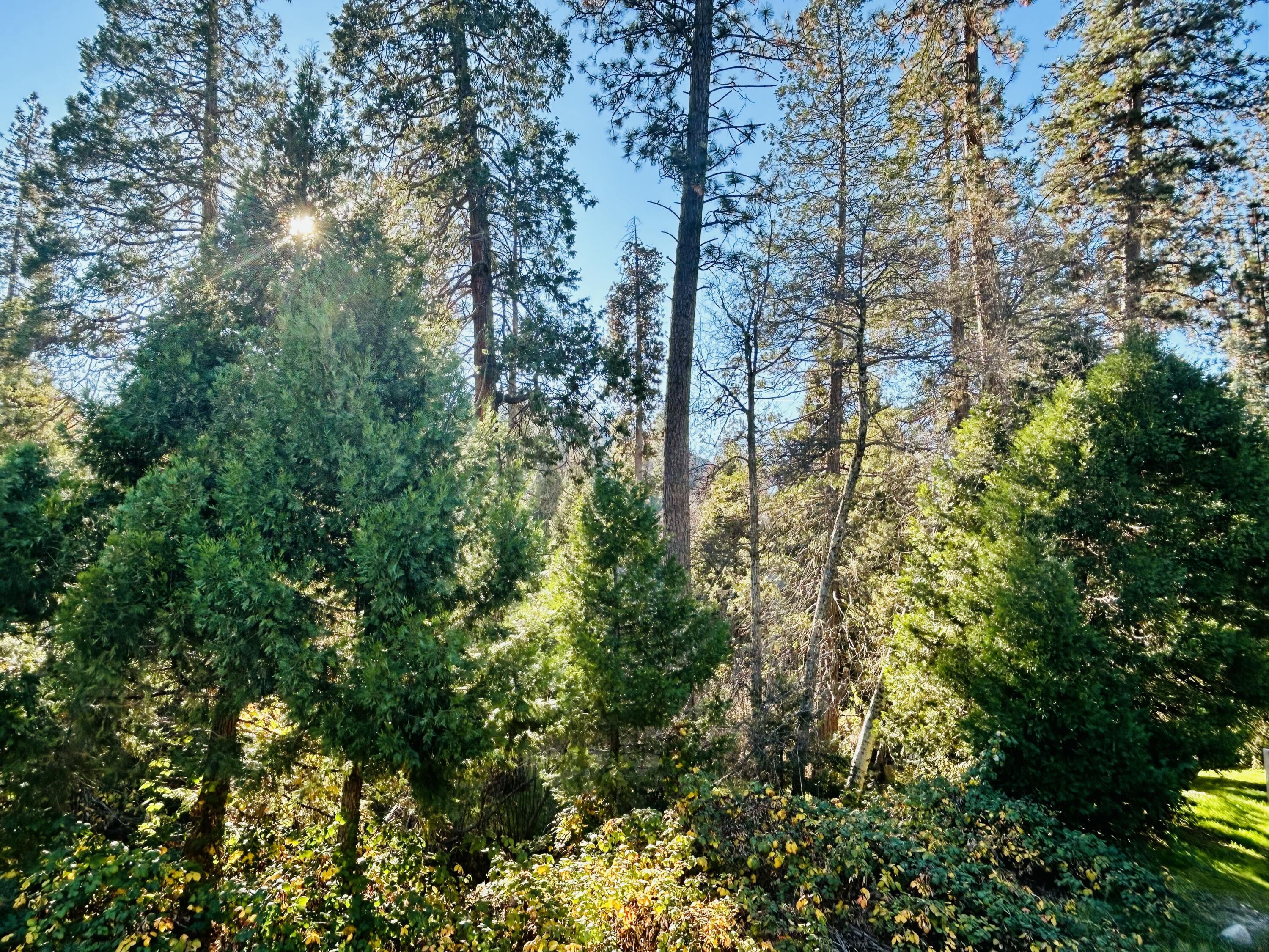 1005 Melody Ln, California Hot Springs, CA 93207