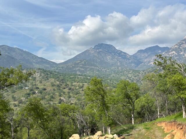 0 Mineral King Rd, Three Rivers, CA 93271