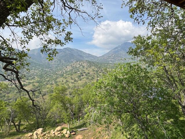 0 Mineral King Rd, Three Rivers, CA 93271