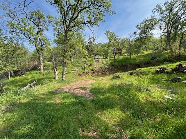 0 Mineral King Rd, Three Rivers, CA 93271