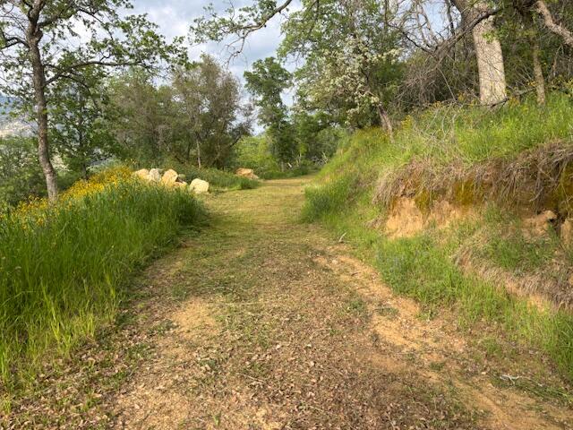 0 Mineral King Rd, Three Rivers, CA 93271