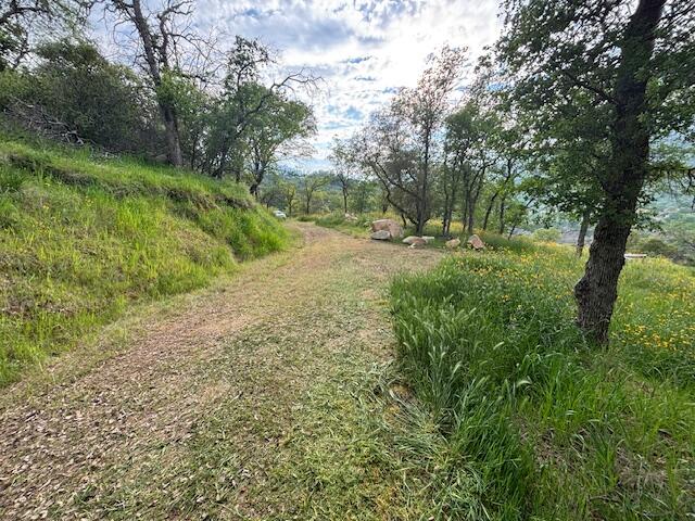 0 Mineral King Rd, Three Rivers, CA 93271