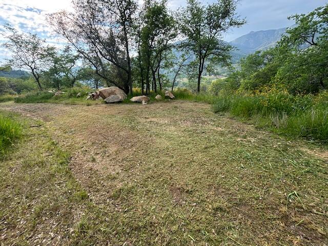 0 Mineral King Rd, Three Rivers, CA 93271