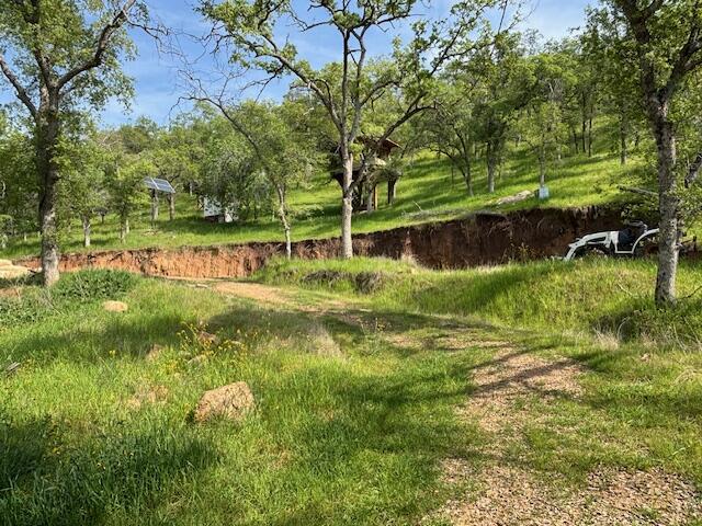 0 Mineral King Rd, Three Rivers, CA 93271