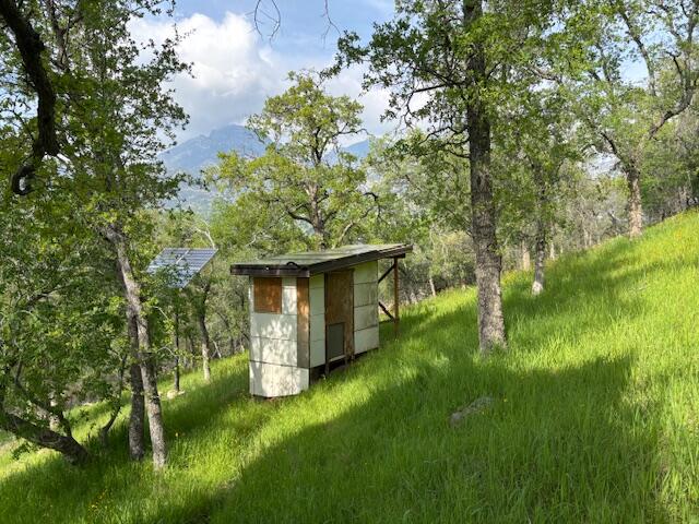 0 Mineral King Rd, Three Rivers, CA 93271