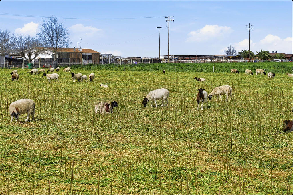 5520 Road 42, Alpaugh, CA 93201