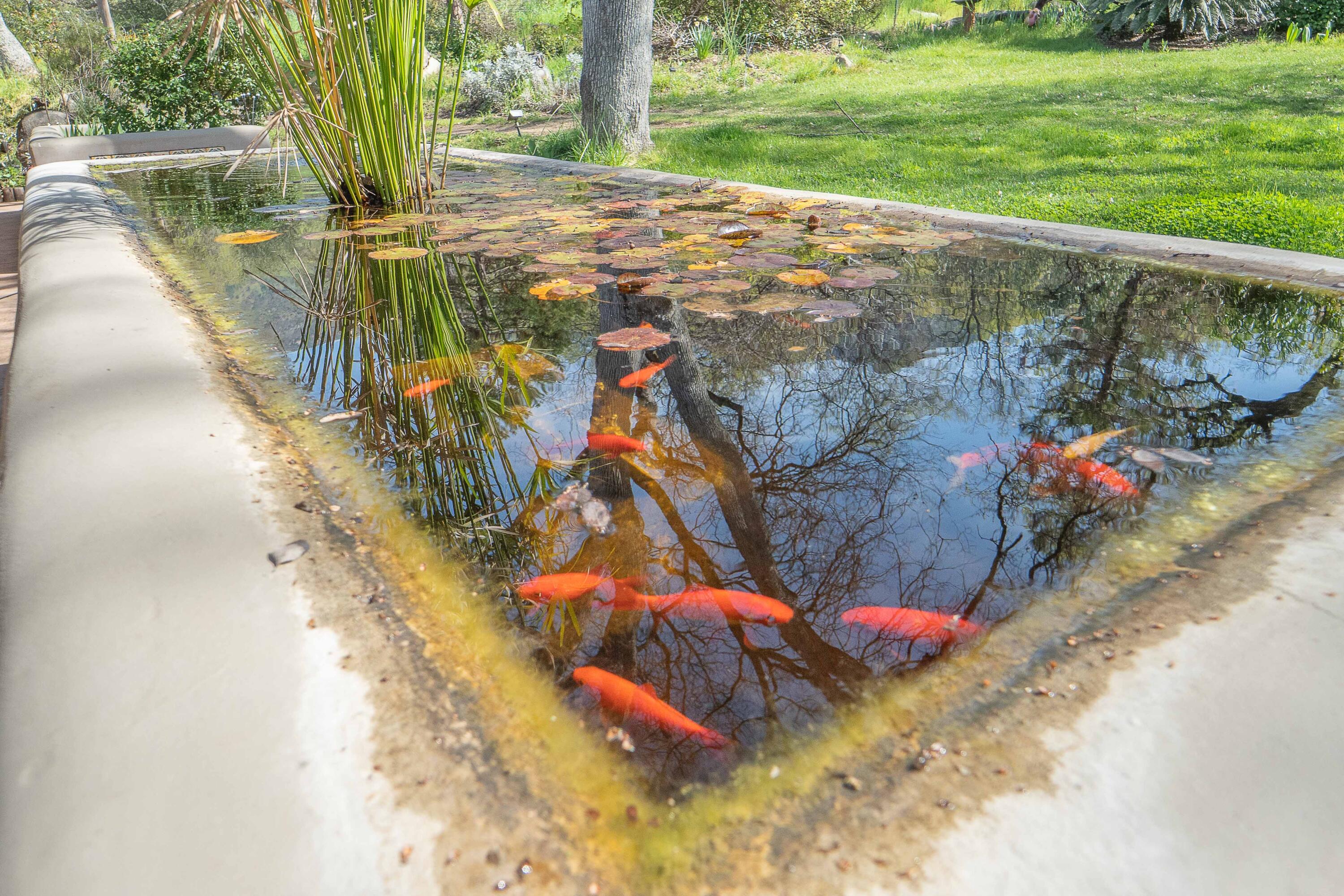 44294 Sequoia Oaks Dr, Three Rivers, CA 93271