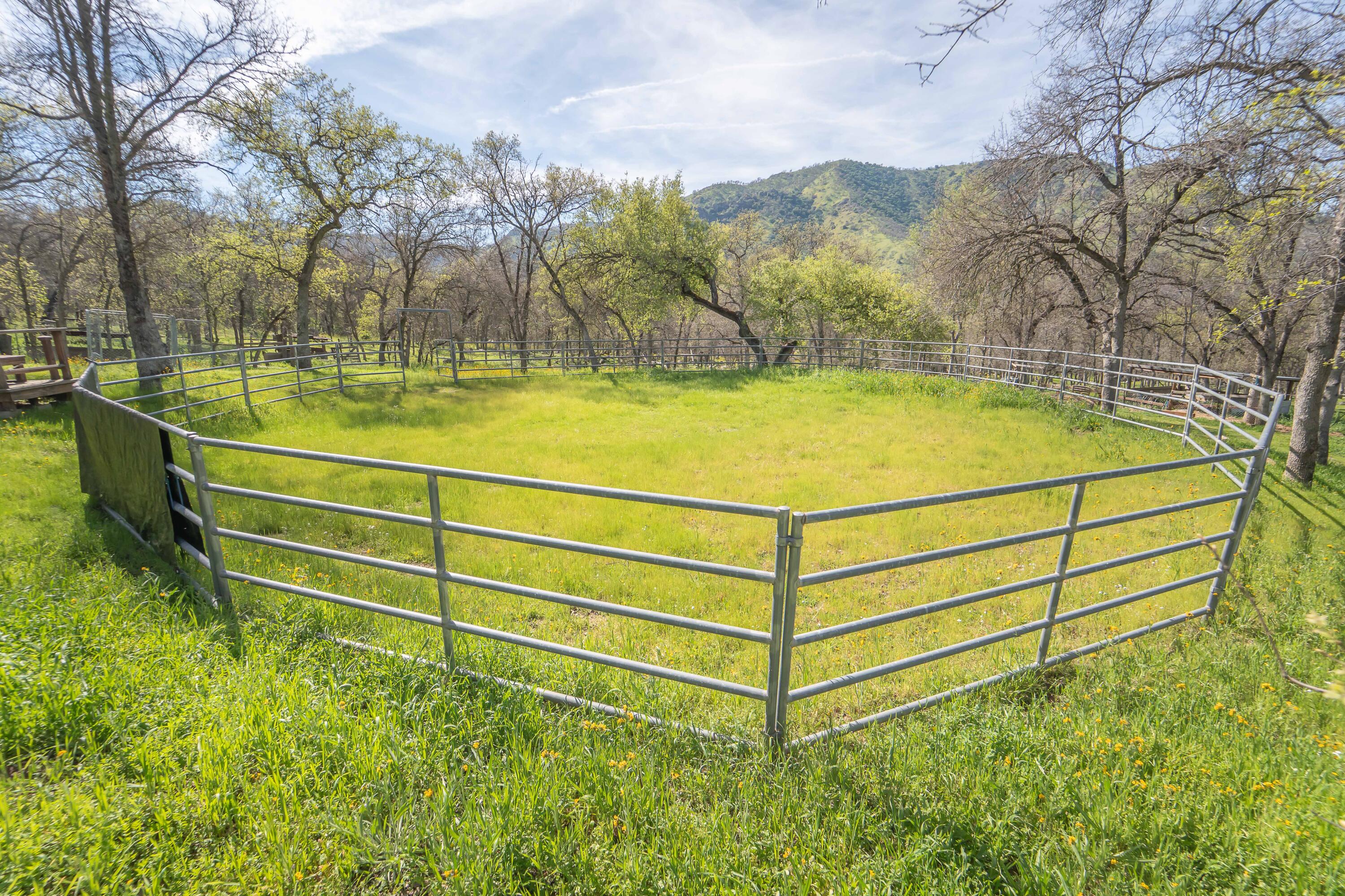 44294 Sequoia Oaks Dr, Three Rivers, CA 93271