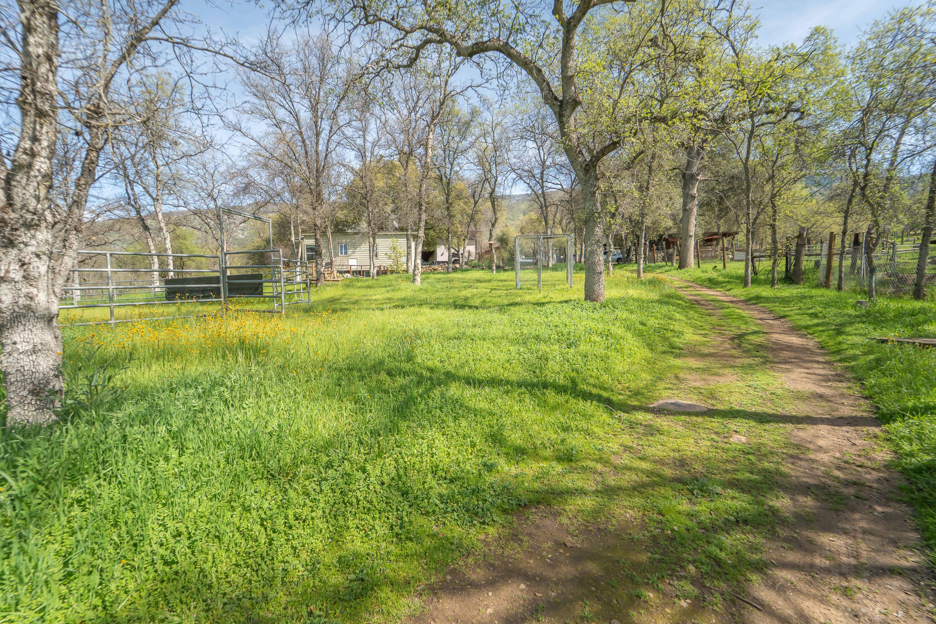 44294 Sequoia Oaks Dr, Three Rivers, CA 93271