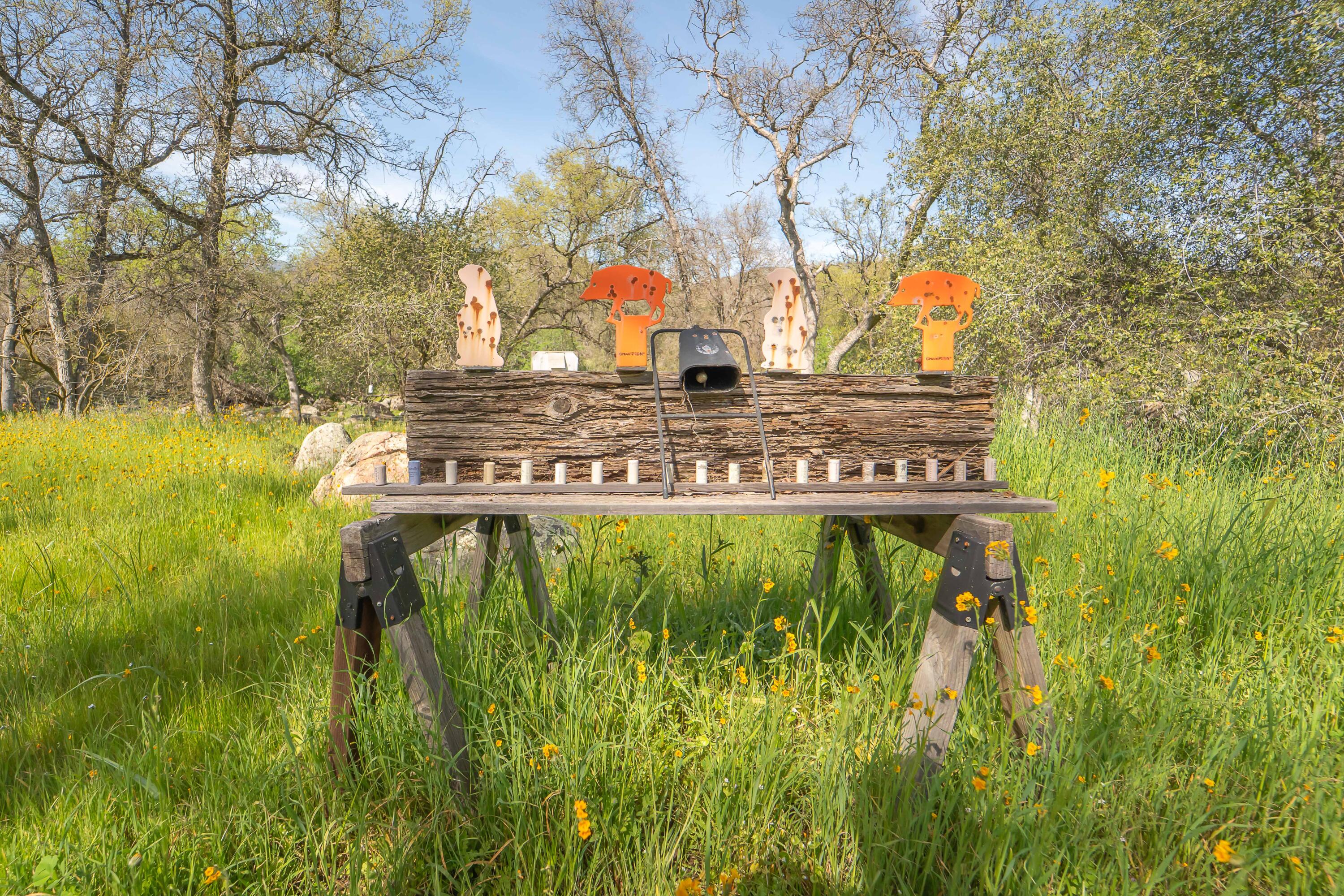 44294 Sequoia Oaks Dr, Three Rivers, CA 93271