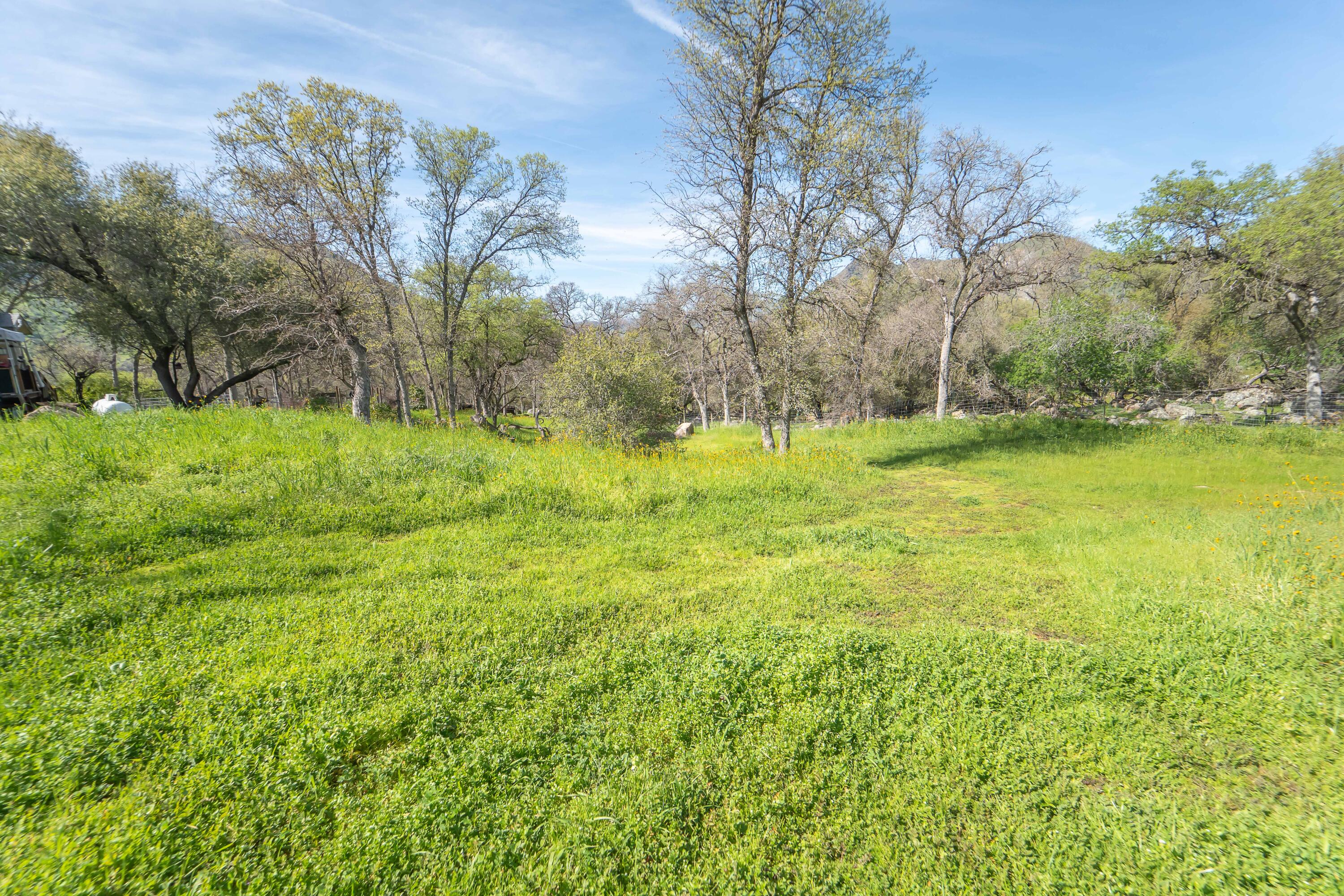 44294 Sequoia Oaks Dr, Three Rivers, CA 93271