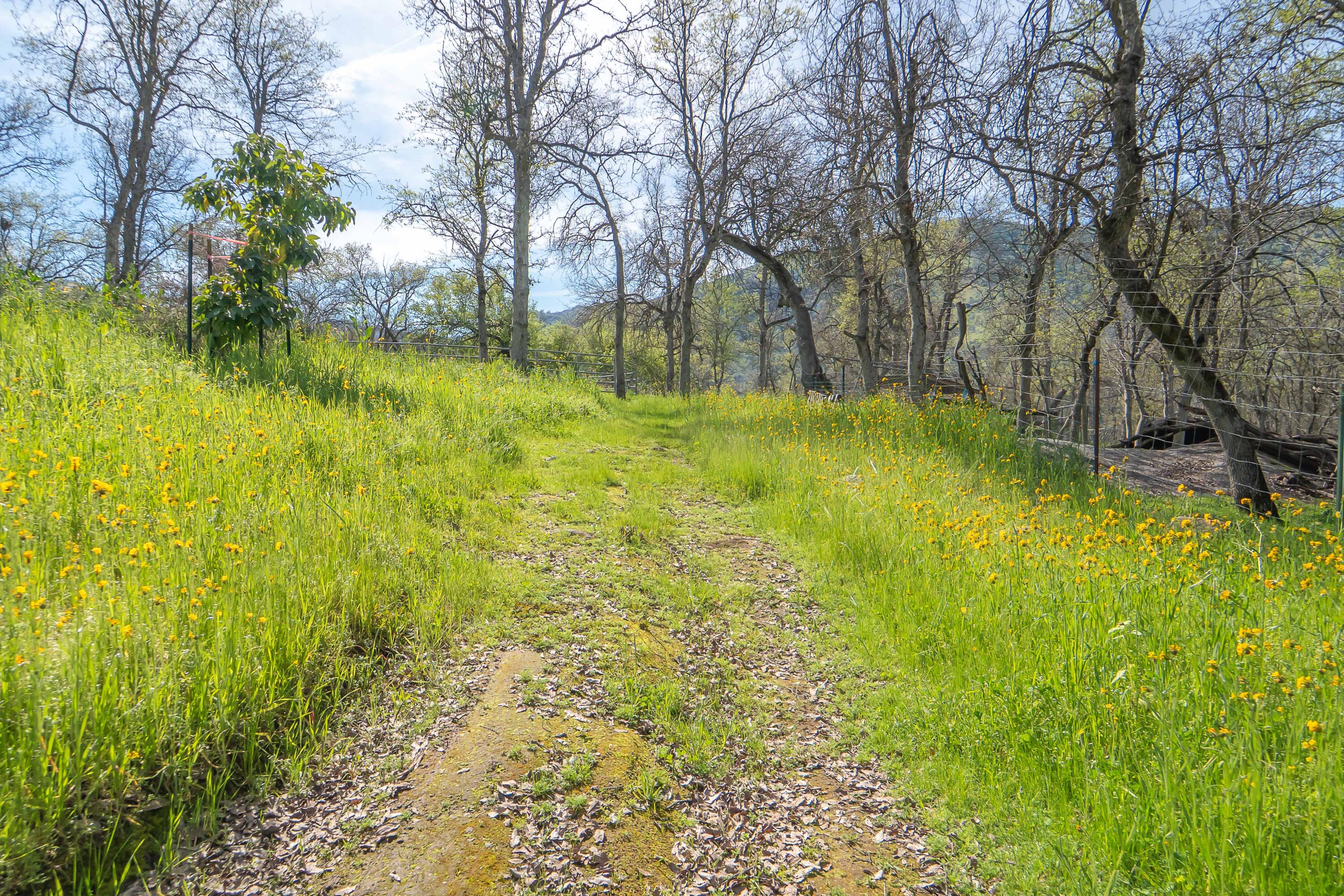 44294 Sequoia Oaks Dr, Three Rivers, CA 93271