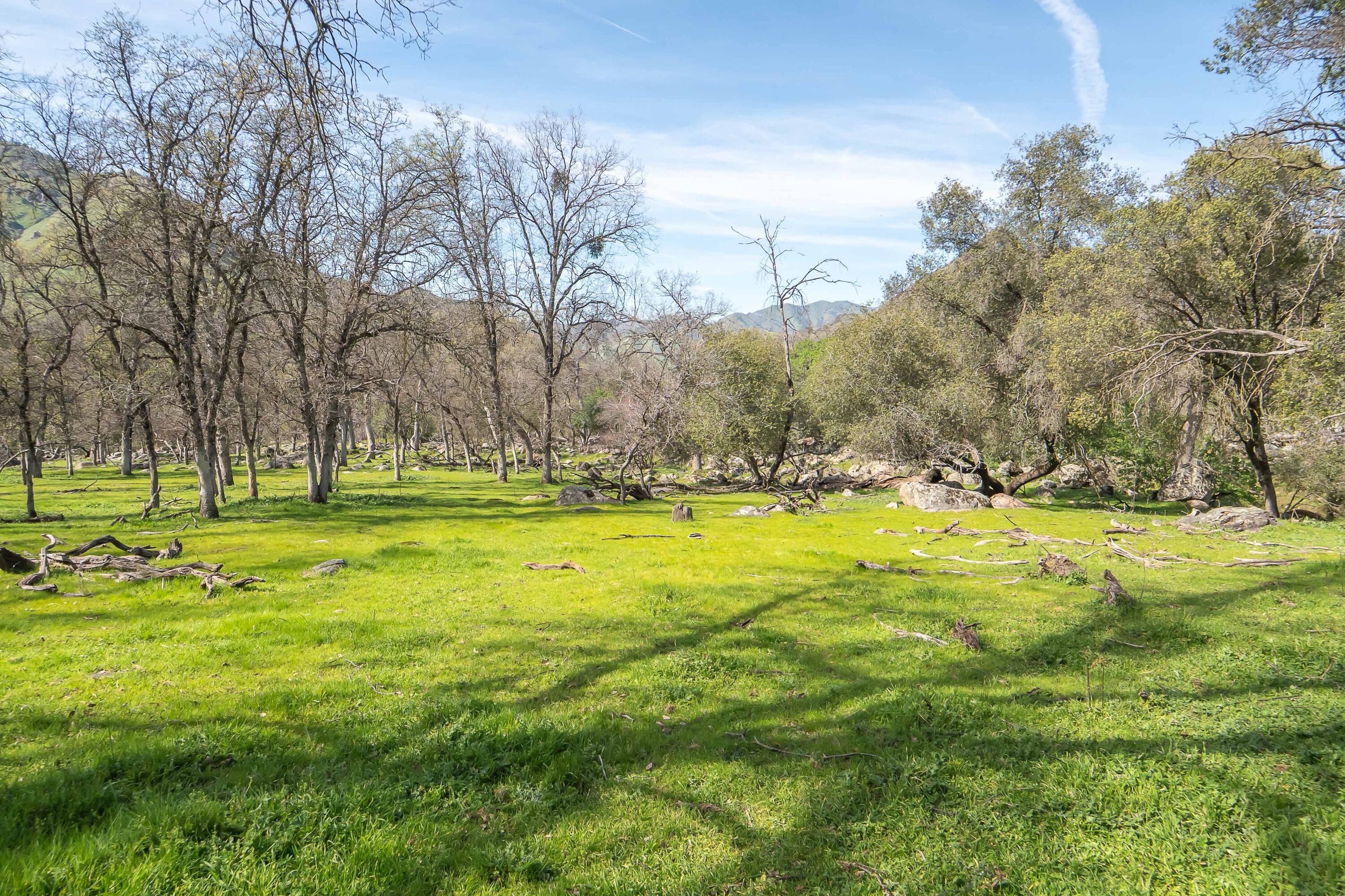 44294 Sequoia Oaks Dr, Three Rivers, CA 93271