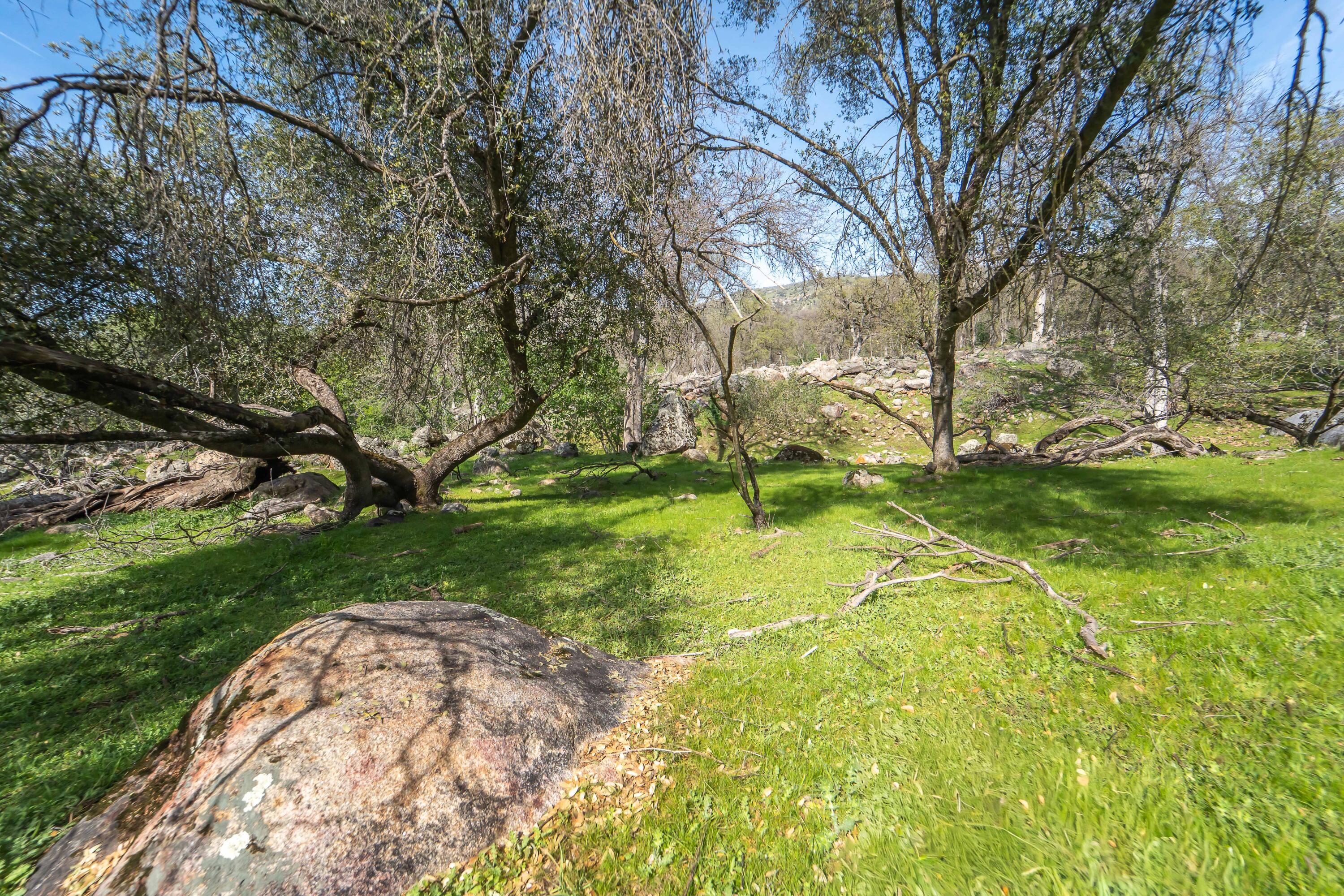 44294 Sequoia Oaks Dr, Three Rivers, CA 93271