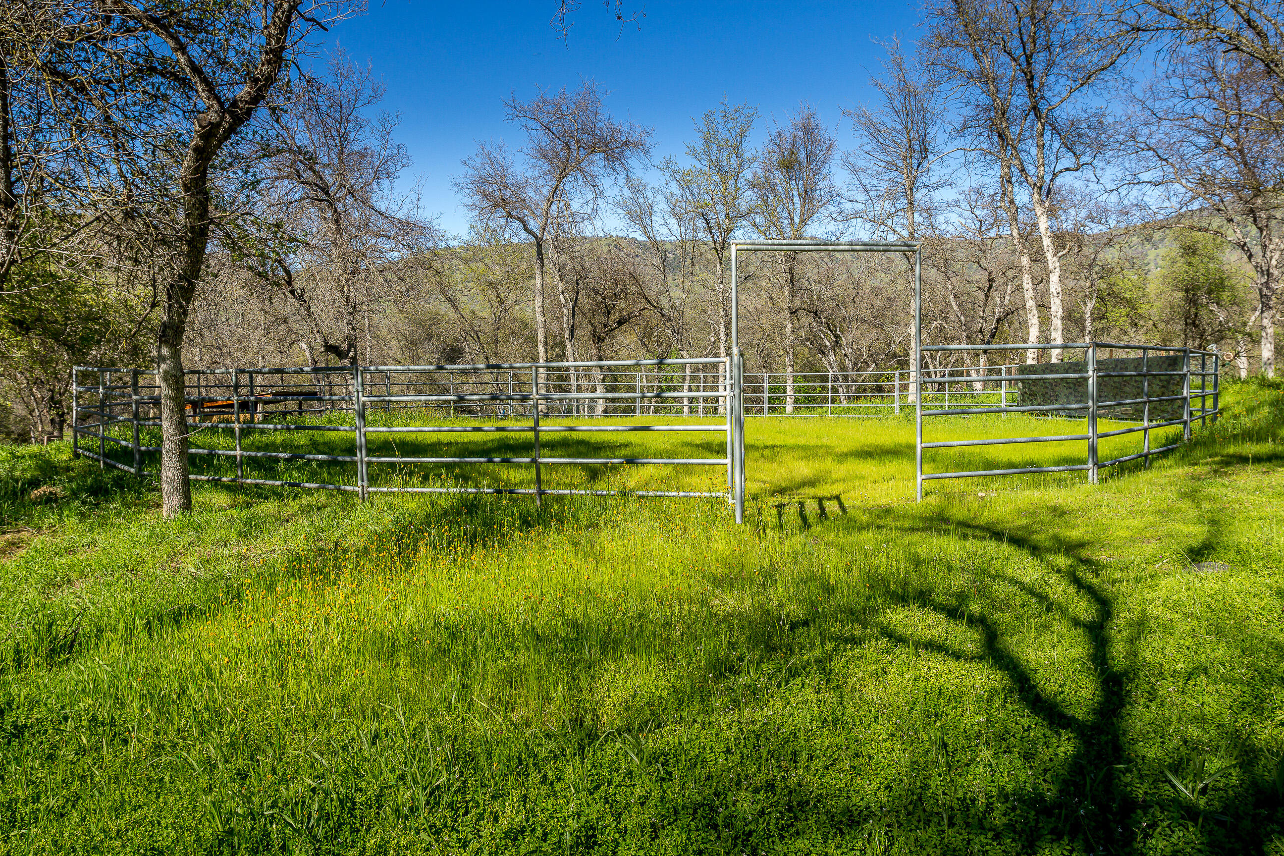 44294 Sequoia Oaks Dr, Three Rivers, CA 93271