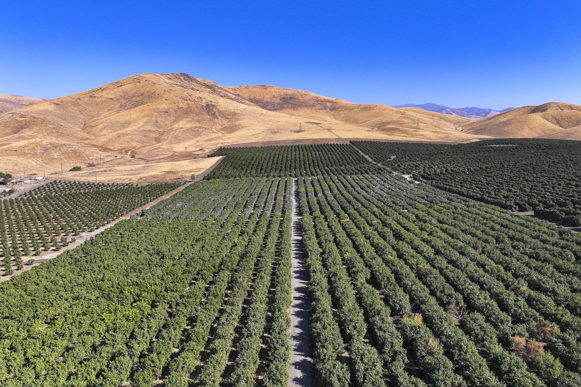 0 Road 284, Porterville, CA 93257