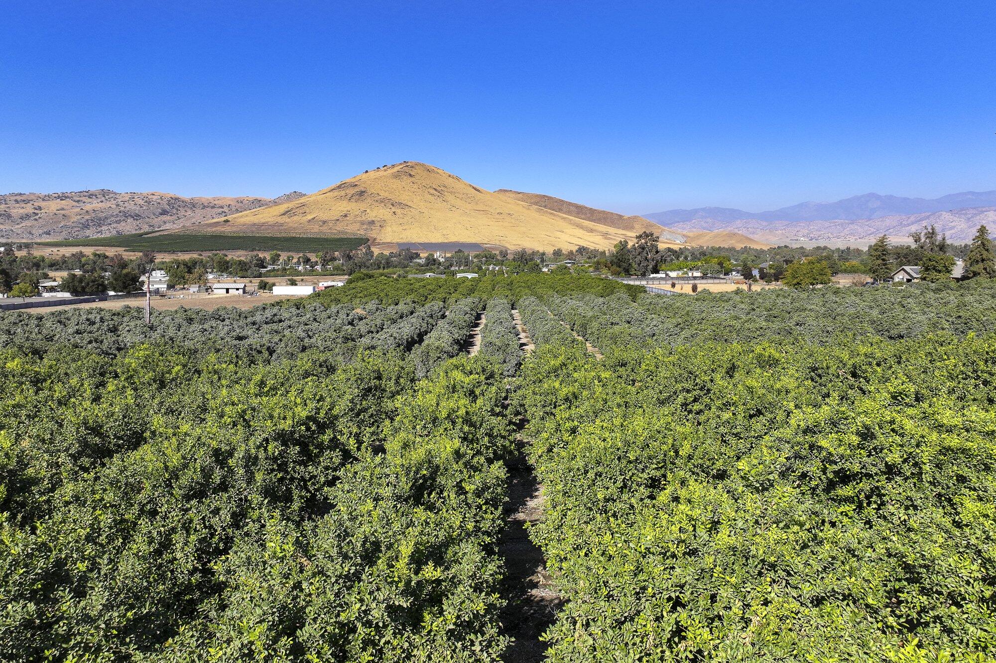 0 Road 284, Porterville, CA 93257