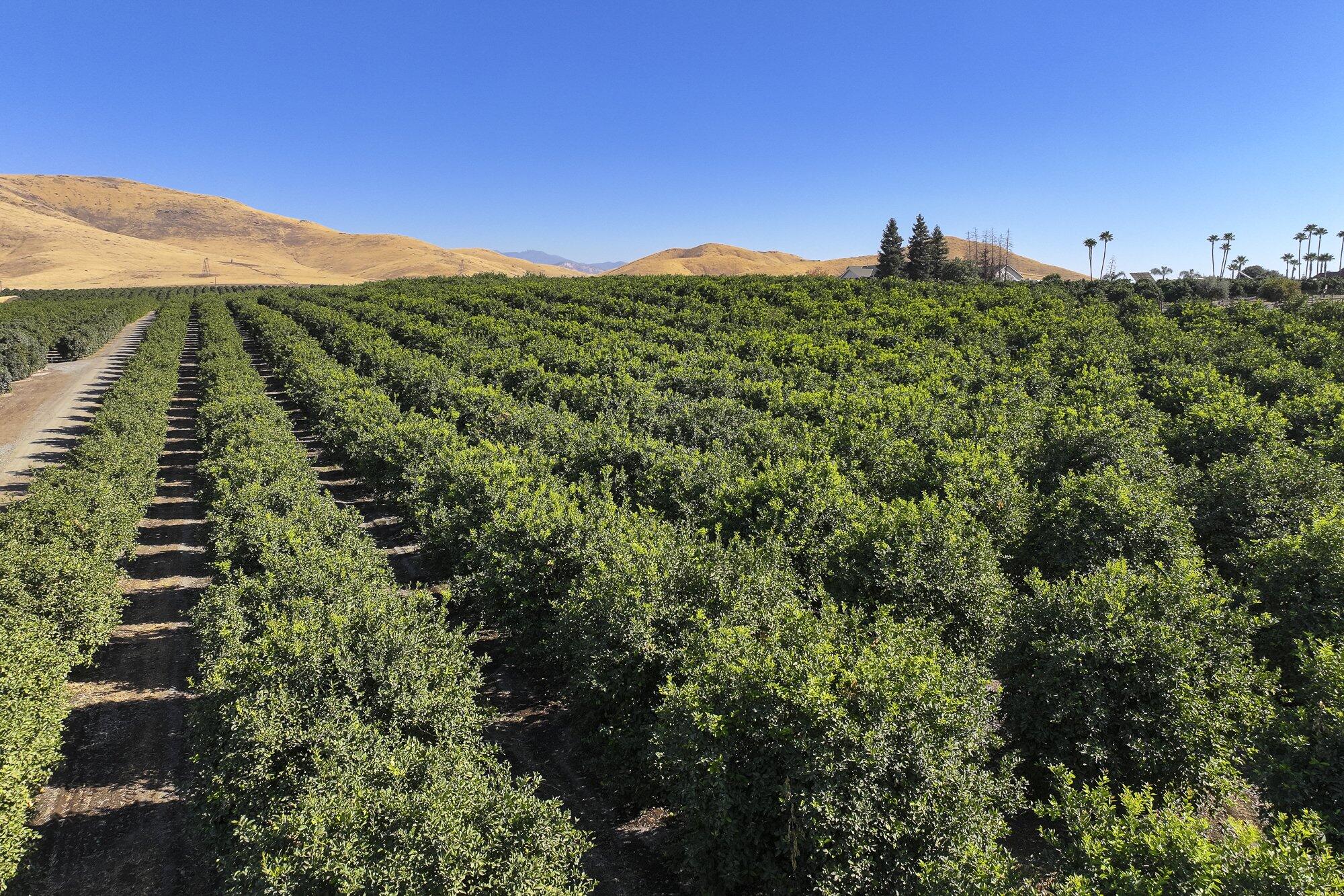 0 Road 284, Porterville, CA 93257