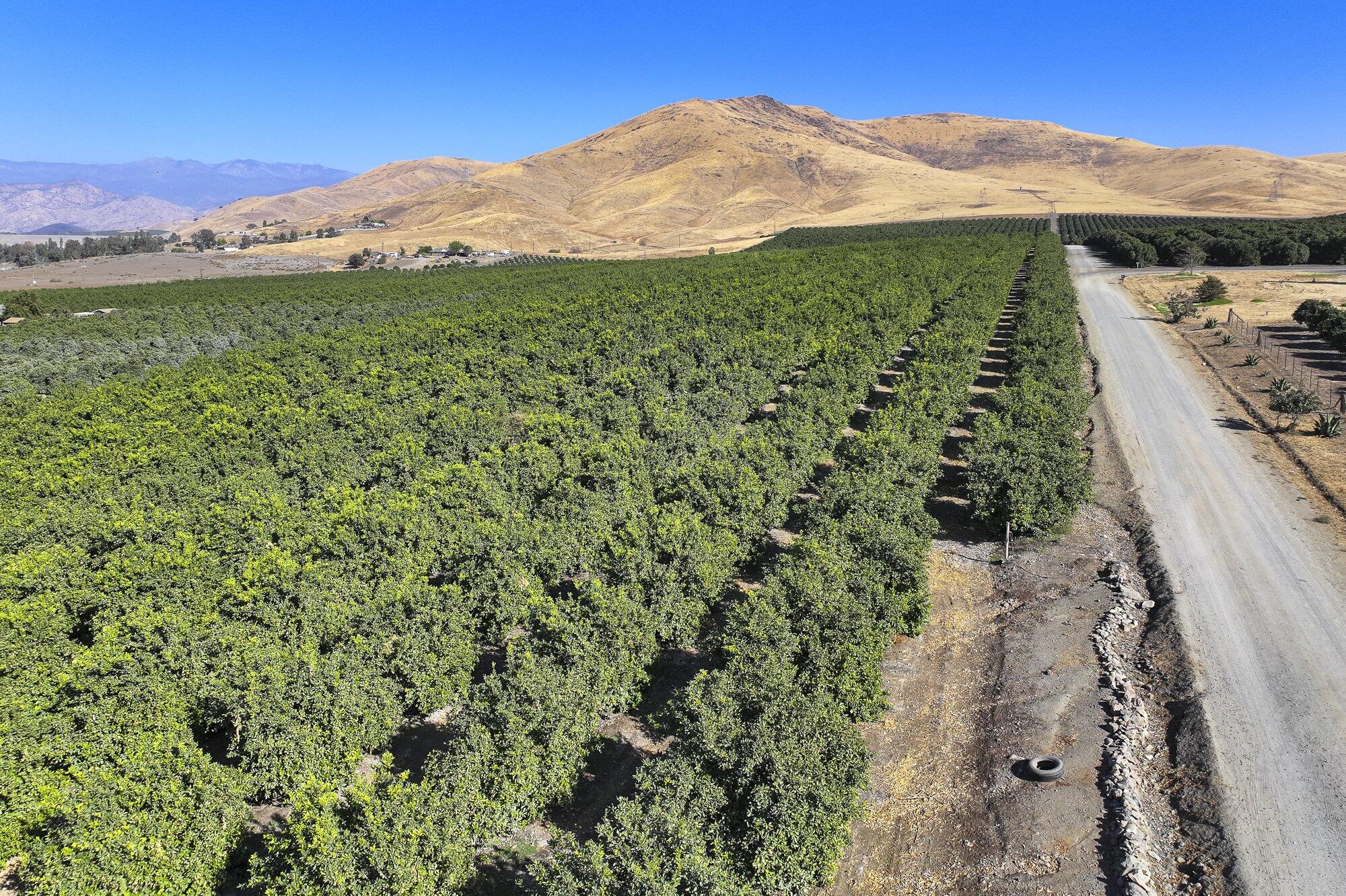 0 Road 284, Porterville, CA 93257