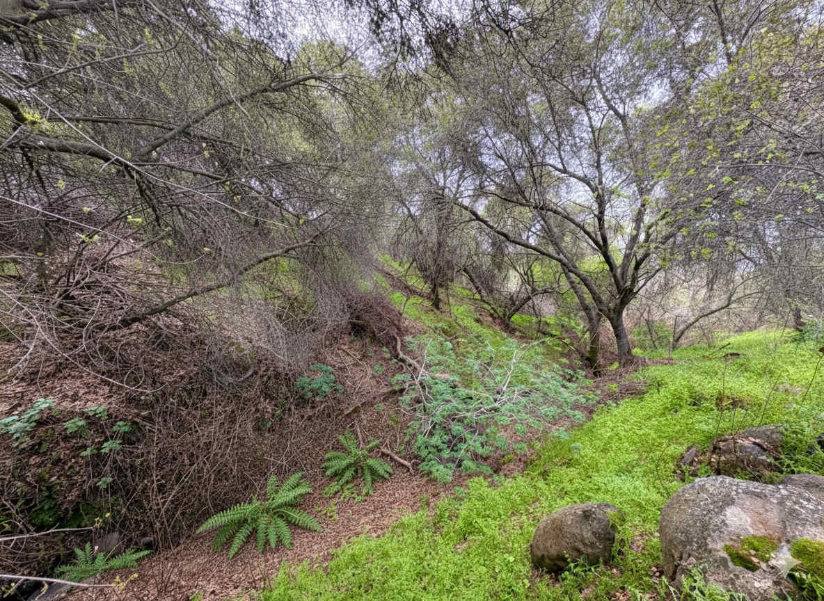 39313 Squaw Valley Rd, Yokuts Valley, CA 93675