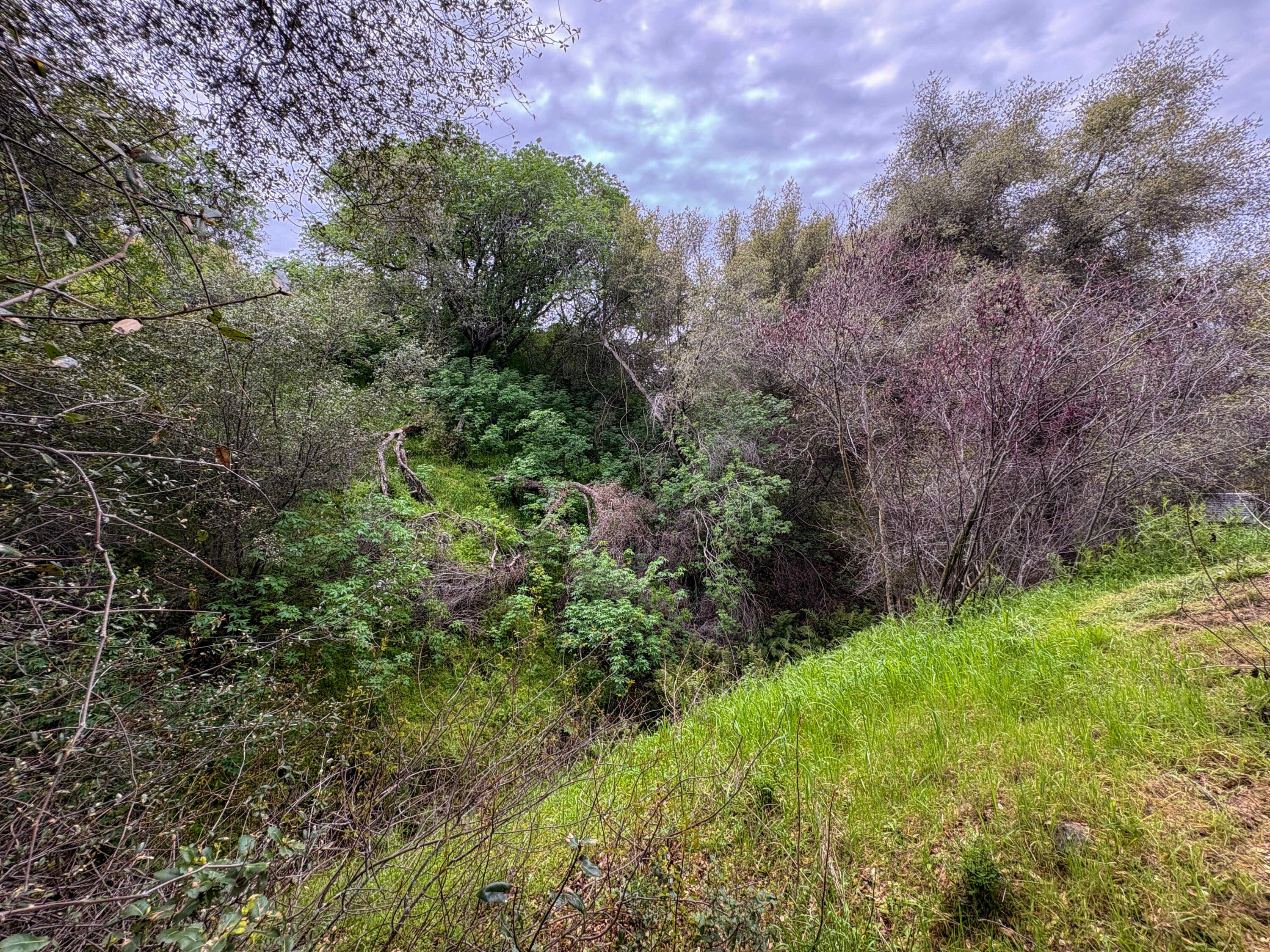 39313 Squaw Valley Rd, Yokuts Valley, CA 93675