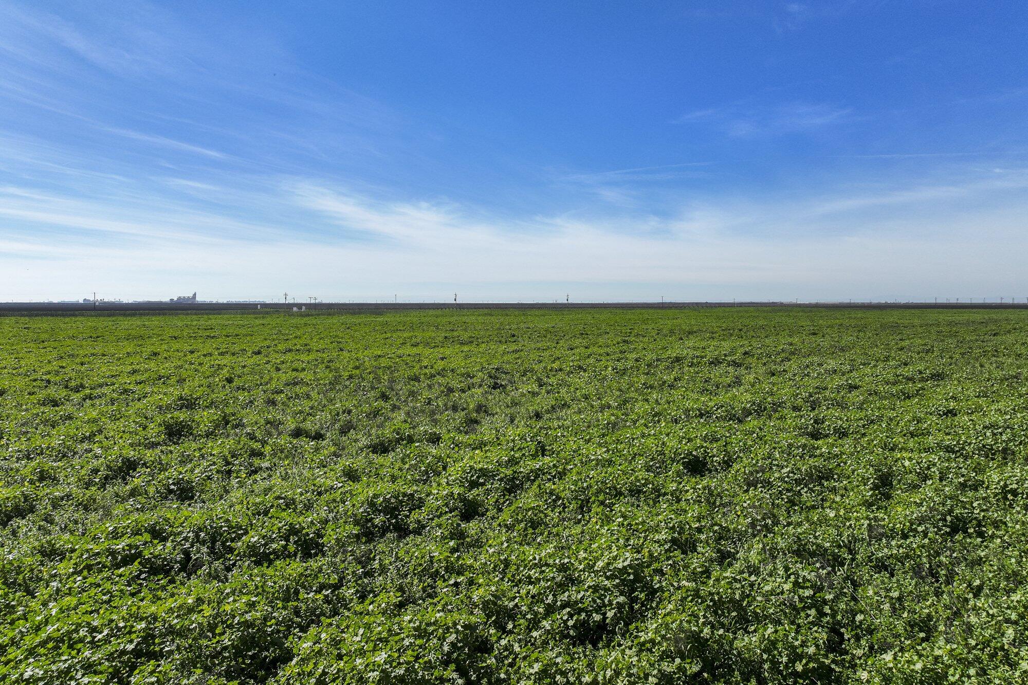 4645 Avenue 120 #120, Corcoran, CA 93212