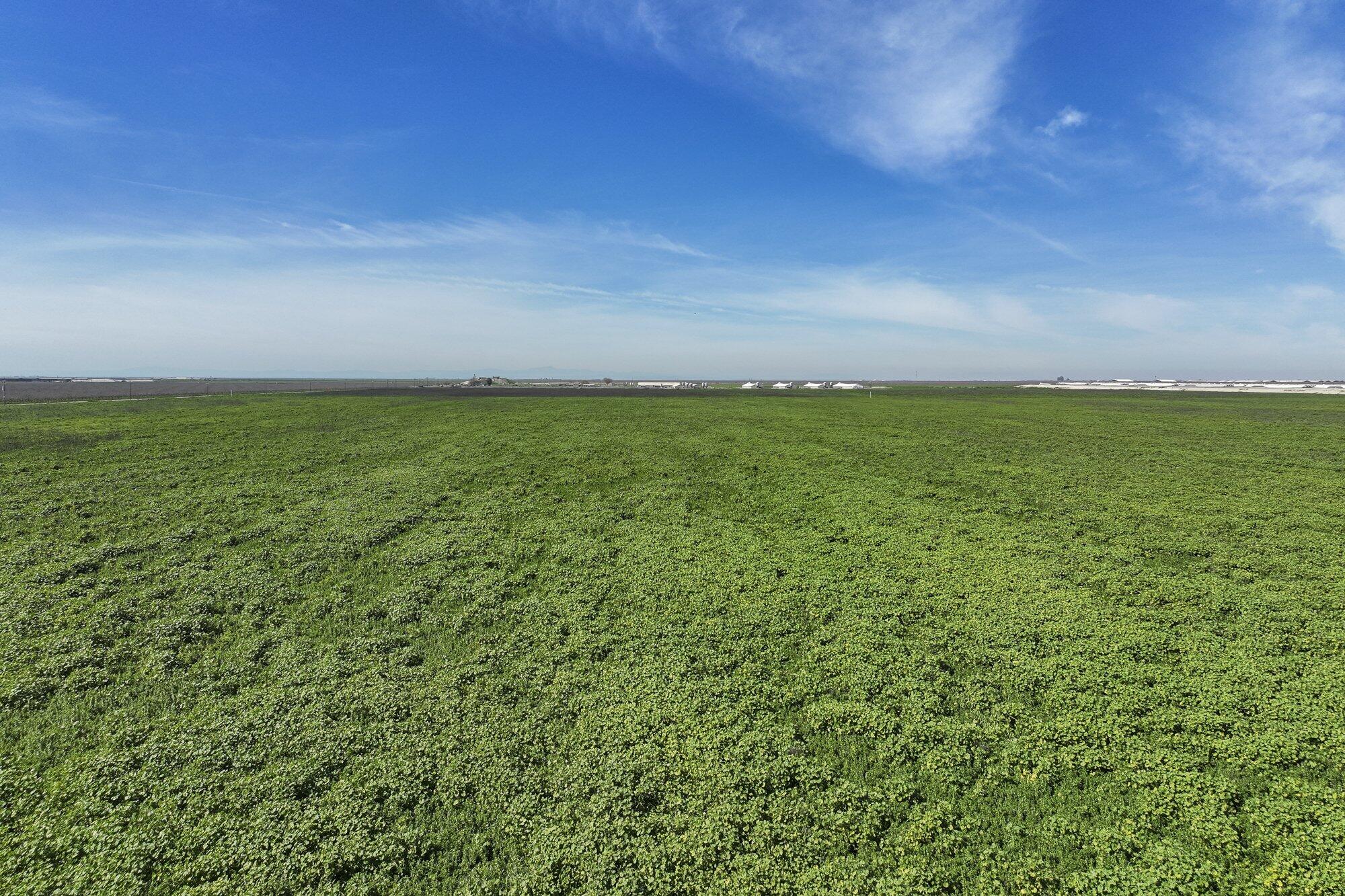 4645 Avenue 120 #120, Corcoran, CA 93212