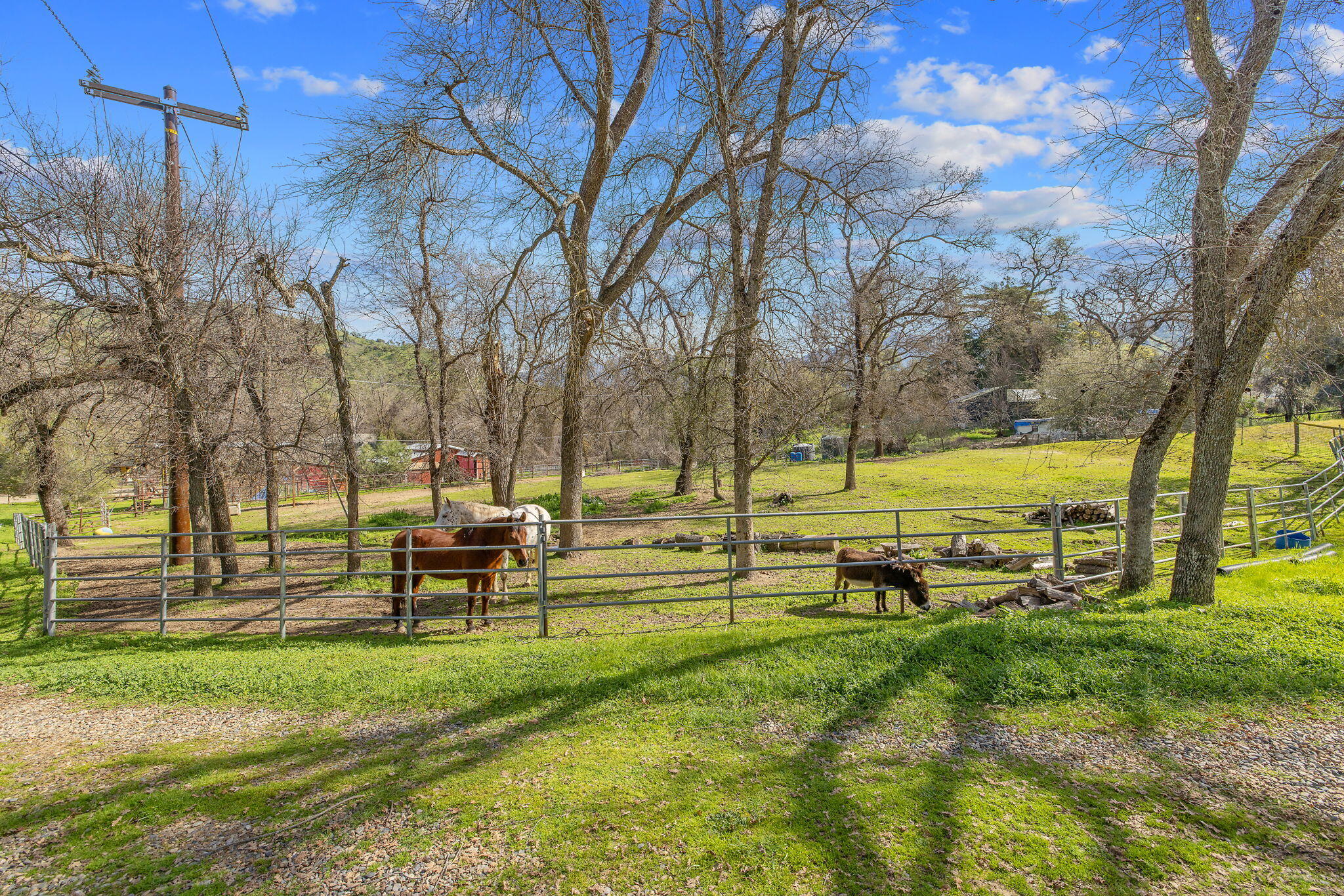 42843 N Fork Dr, Three Rivers, CA 93271