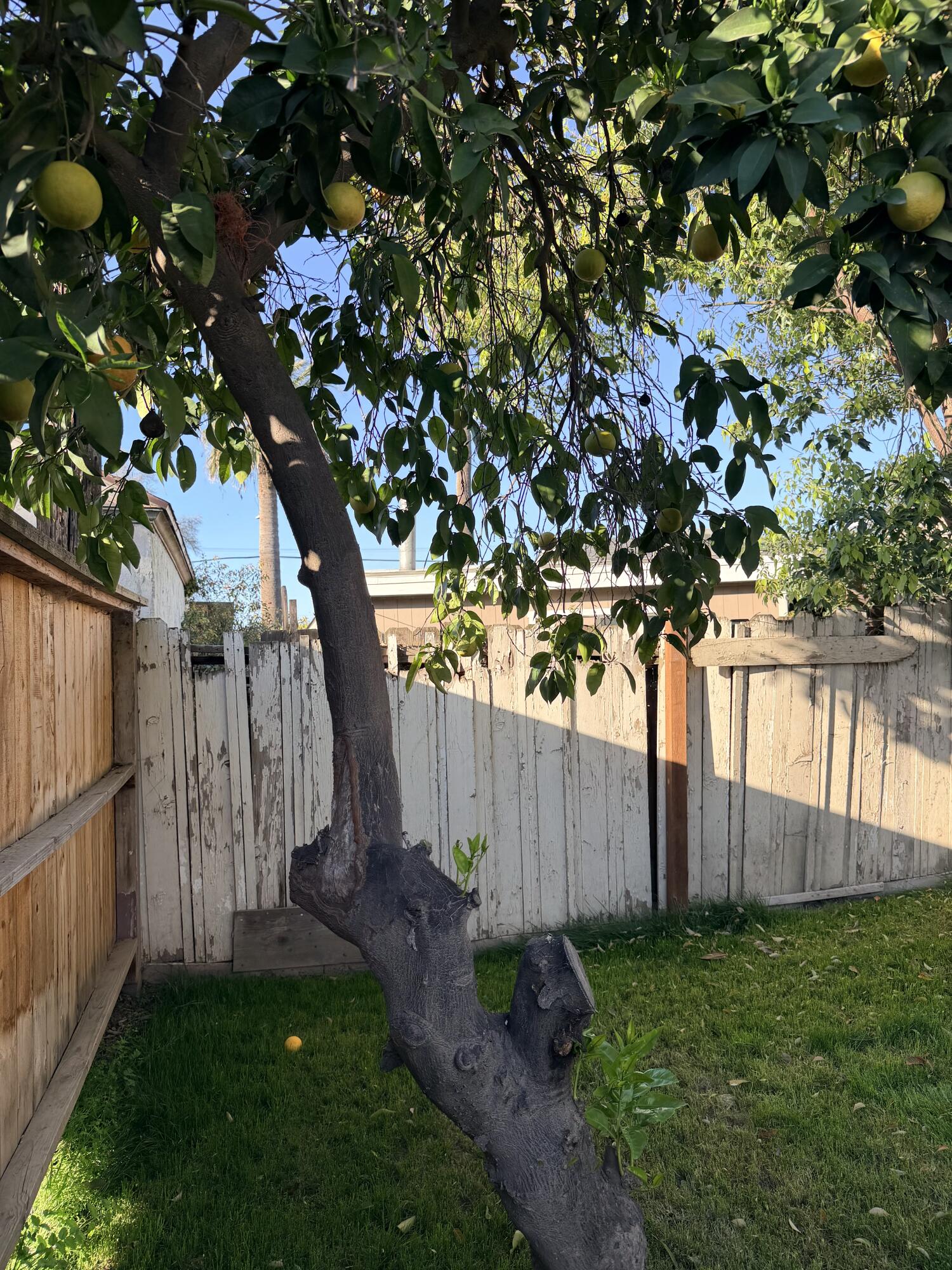 1072 E E Sycamore Ave, Tulare, CA 93274