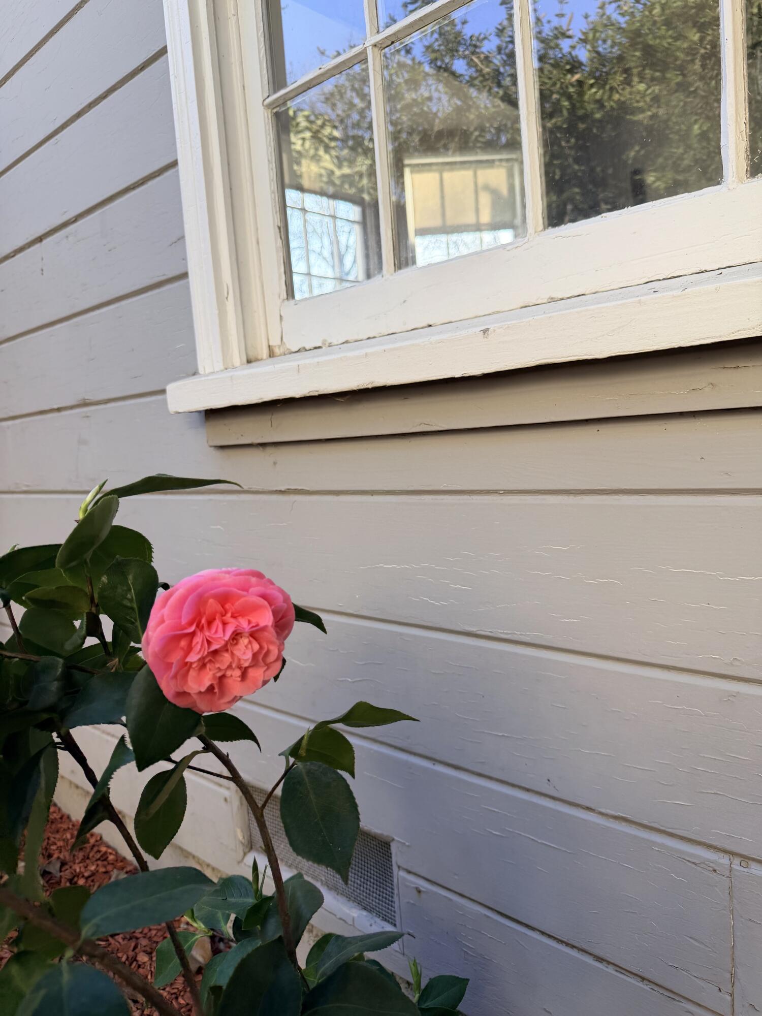 1072 E E Sycamore Ave, Tulare, CA 93274