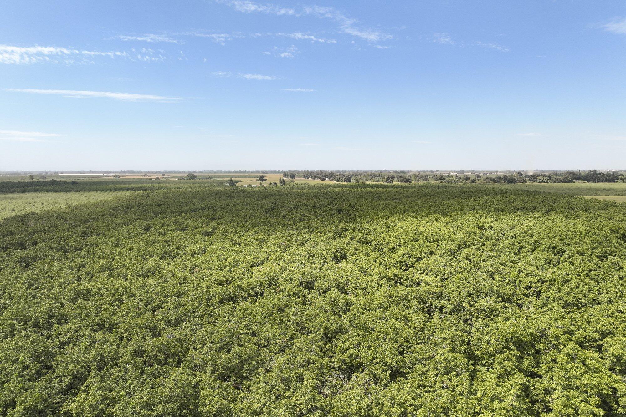 3948 13 1/4 Ave, Hanford, CA 93230