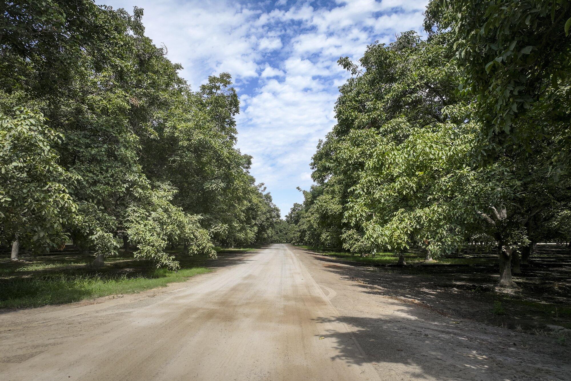 3948 13 1/4 Ave, Hanford, CA 93230