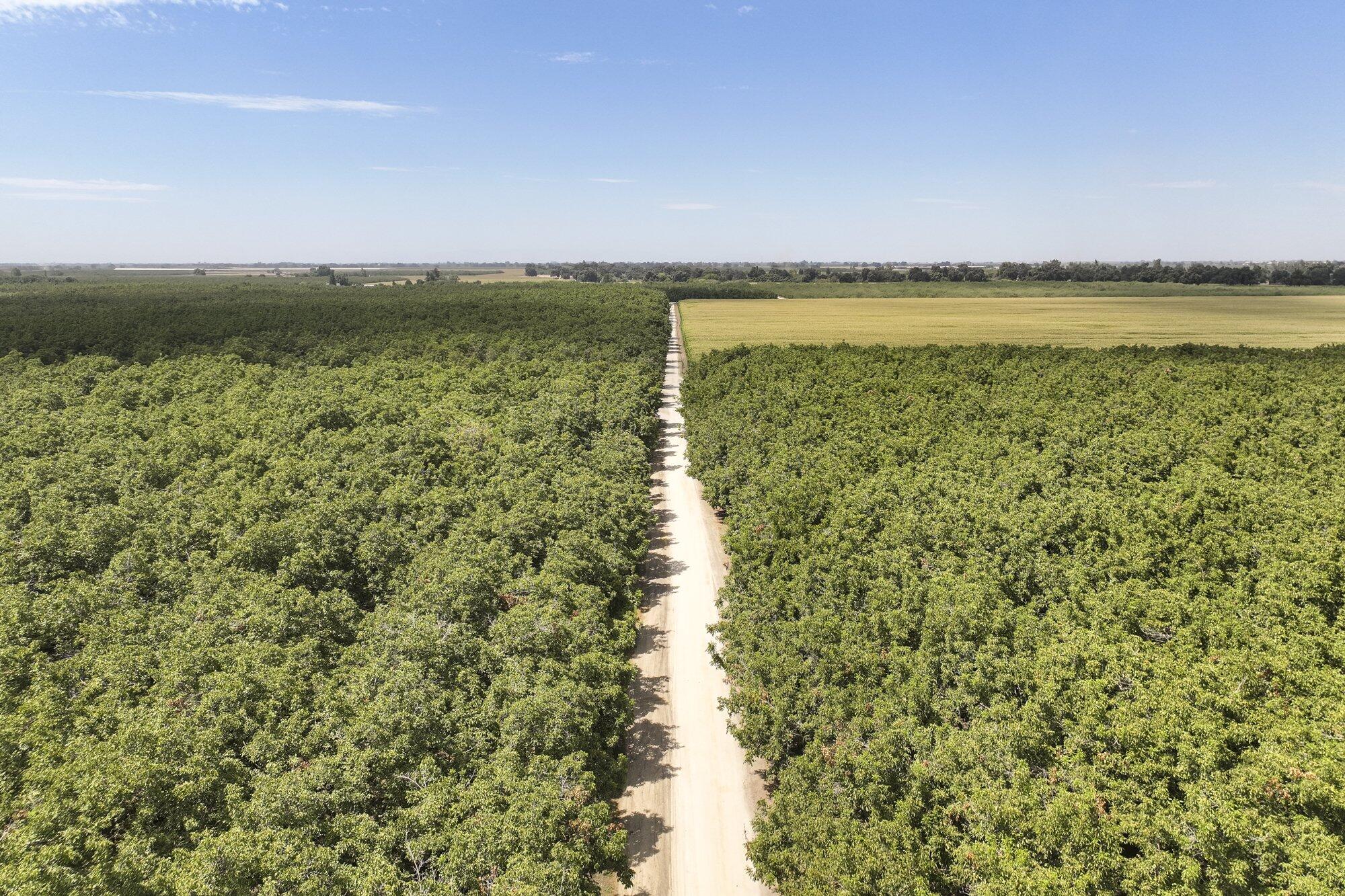 3948 13 1/4 Ave, Hanford, CA 93230