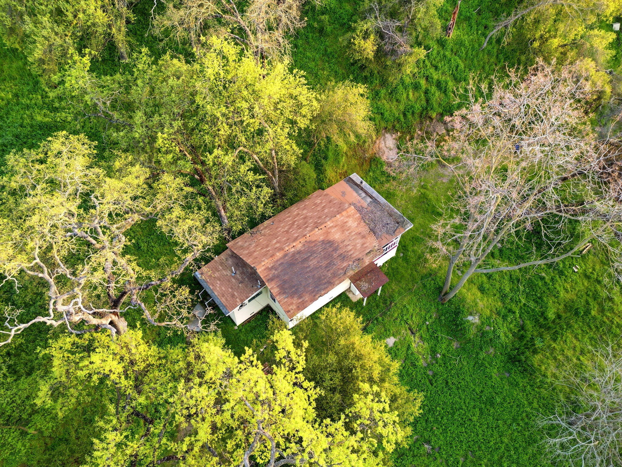 40709 Old Three Rivers Rd, Three Rivers, CA 93271