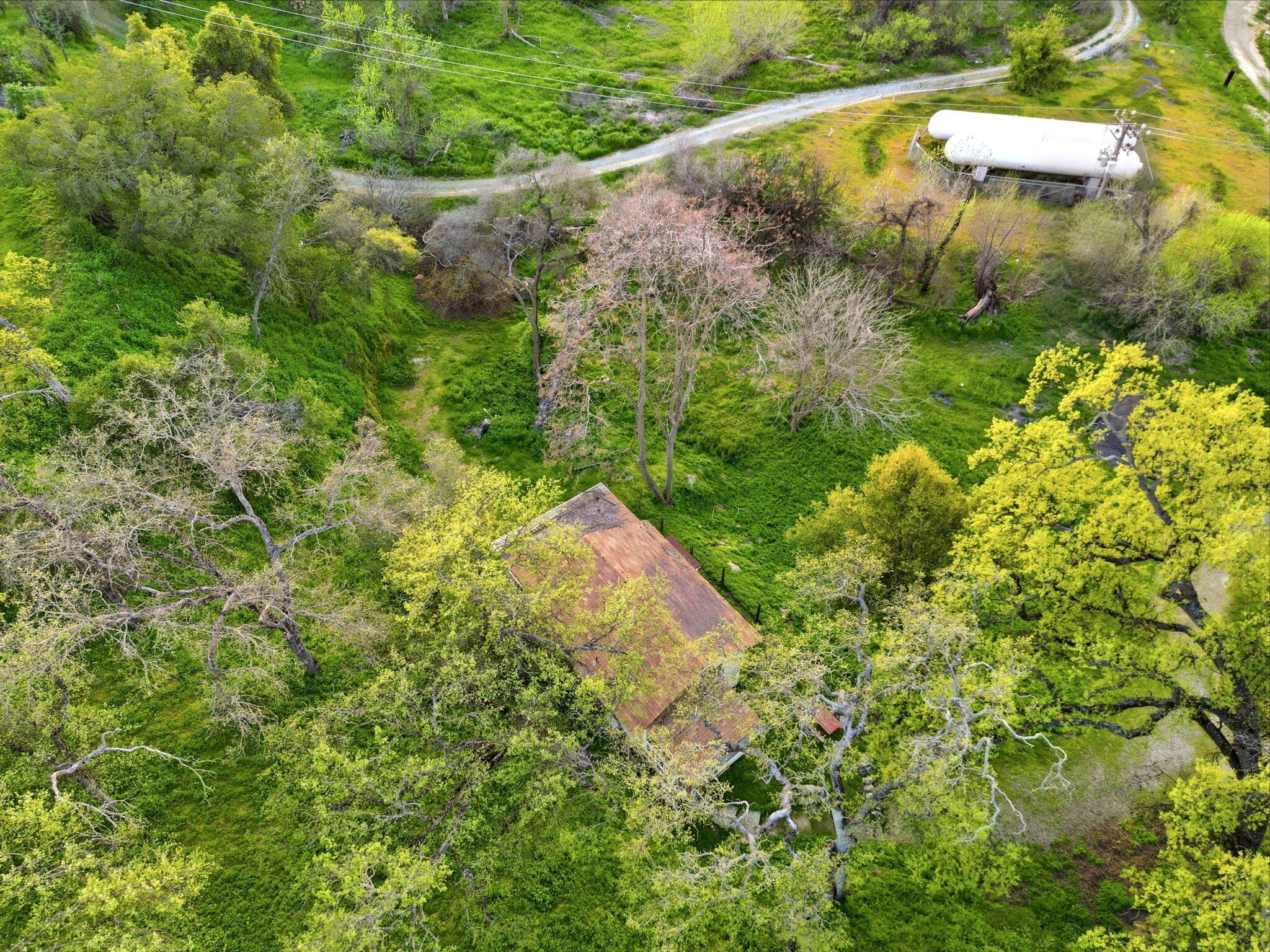 40709 Old Three Rivers Rd, Three Rivers, CA 93271