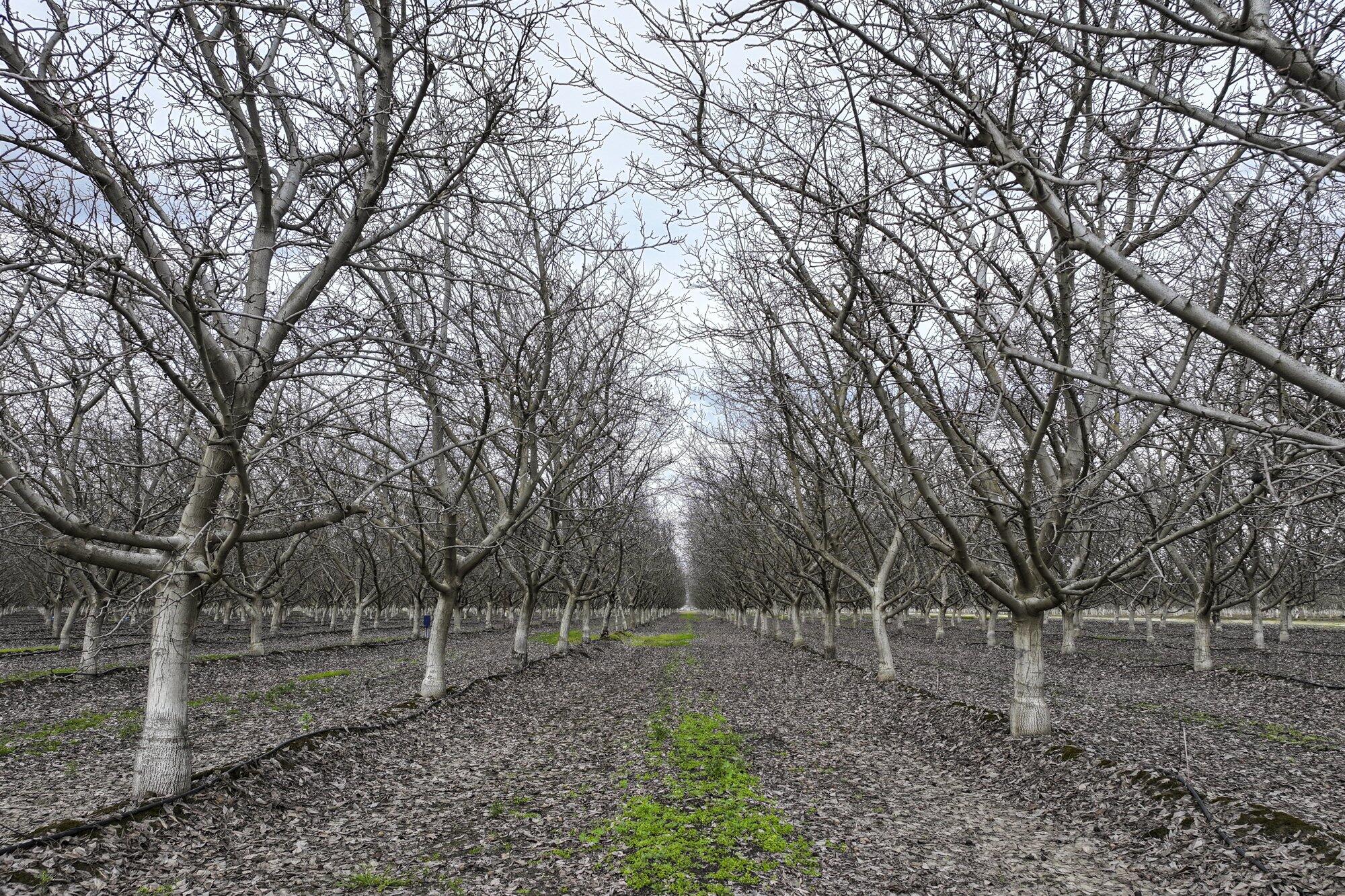 0 Road 138, Visalia, CA 93292