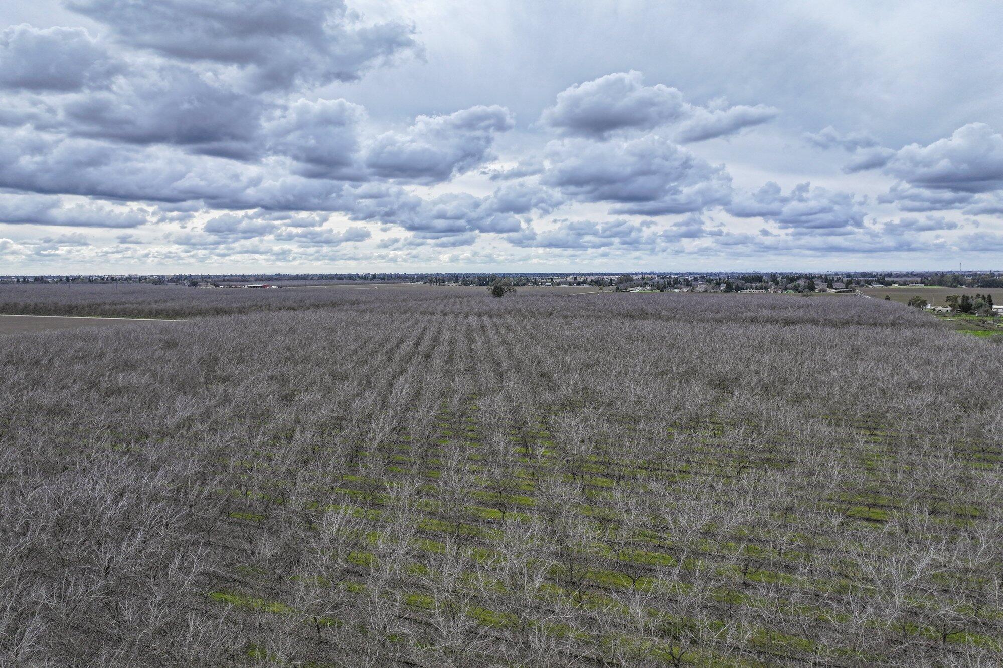 0 Road 138, Visalia, CA 93292