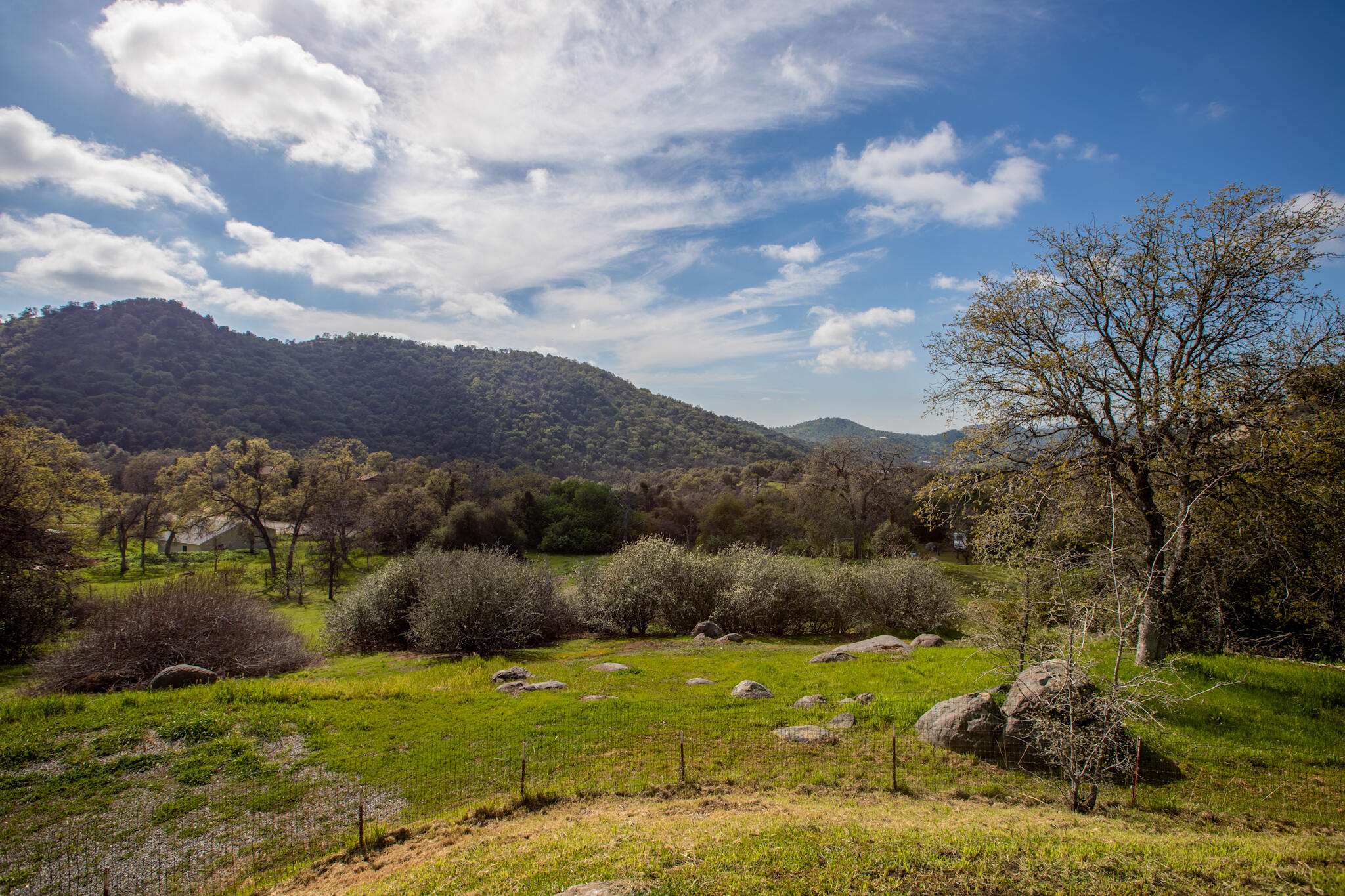 49980 Daffodil Ln, Yokuts Valley, CA 93675