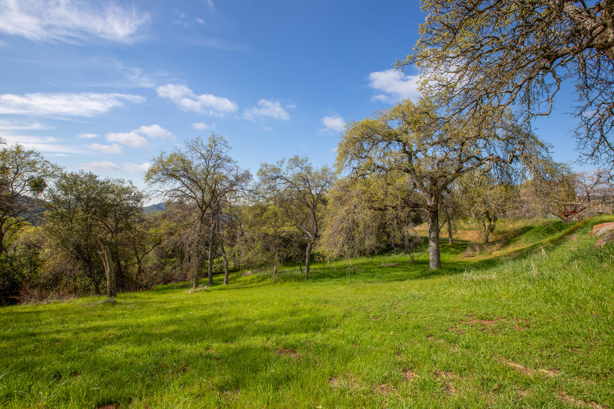 49980 Daffodil Ln, Yokuts Valley, CA 93675