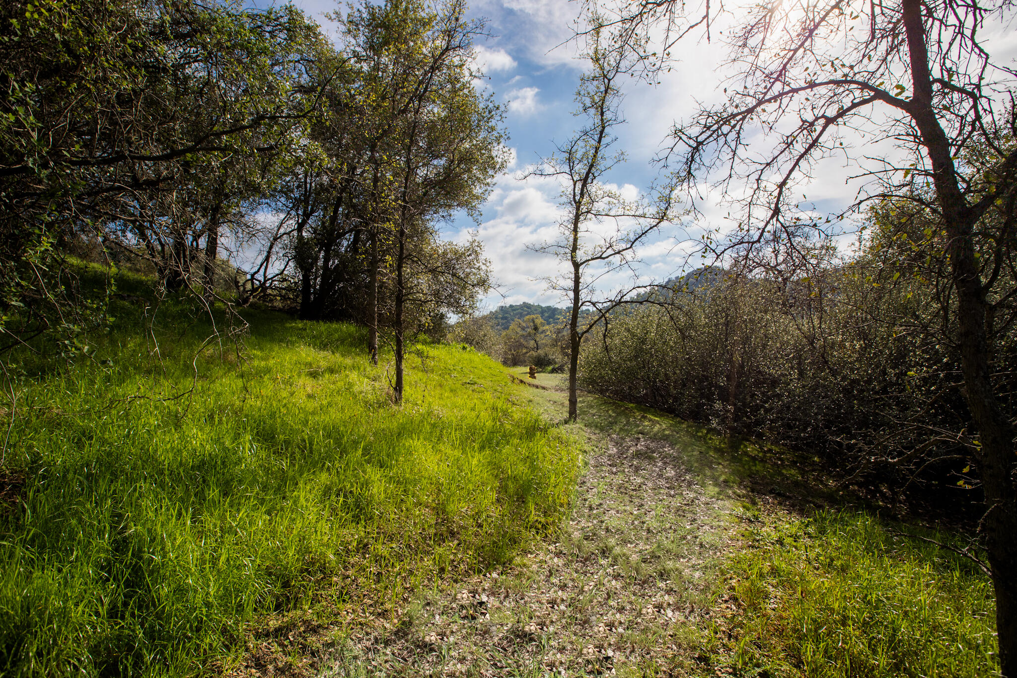 49980 Daffodil Ln, Yokuts Valley, CA 93675