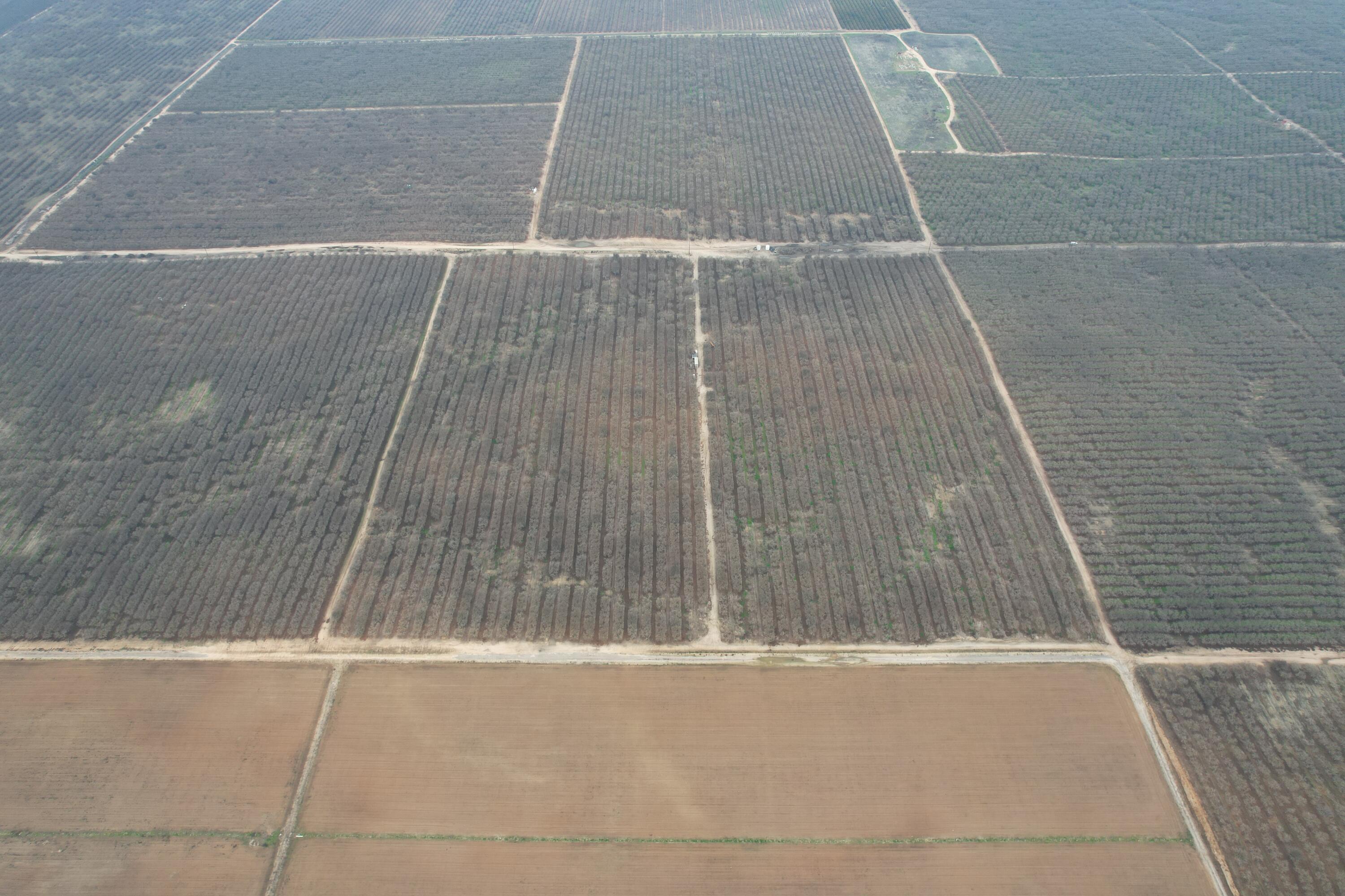 0 Avenue 11, Madera, CA 93636