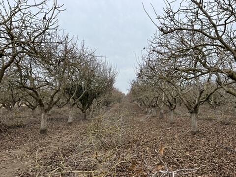 0 Avenue 20, Madera, CA 93638