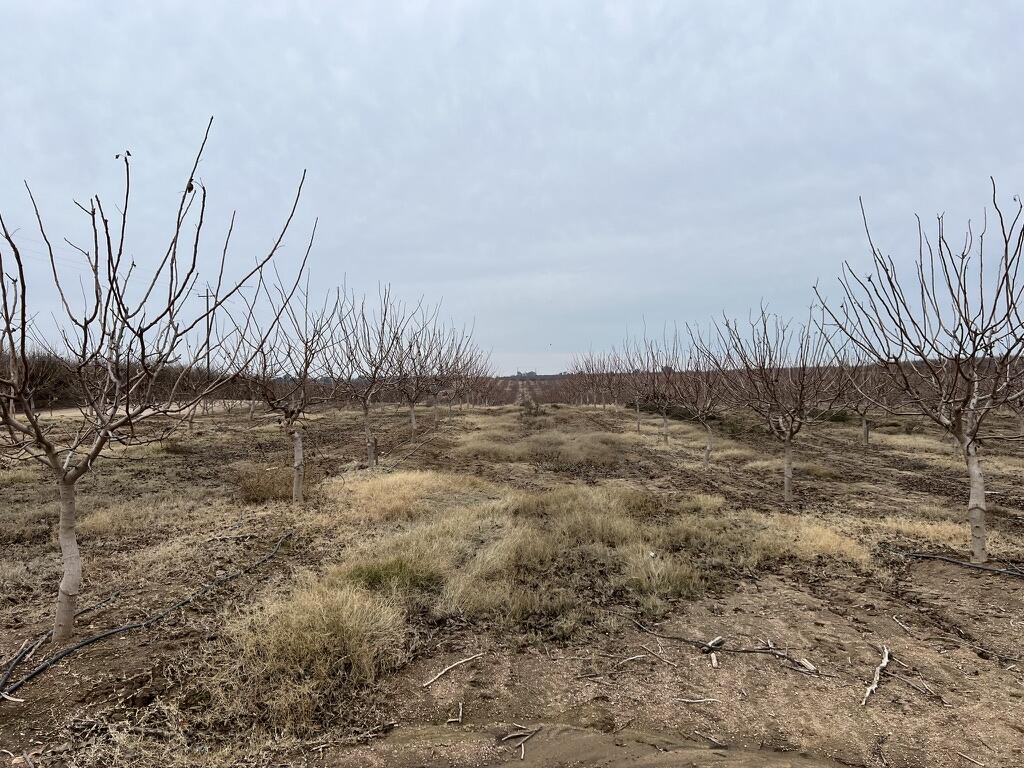 0 Avenue 20, Madera, CA 93638