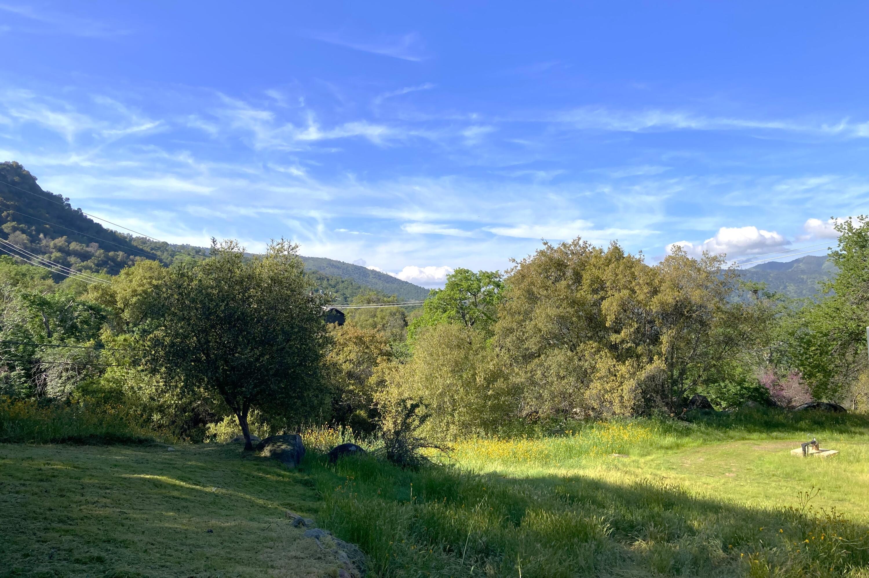 45218 Hammond Dr, Three Rivers, CA 93271