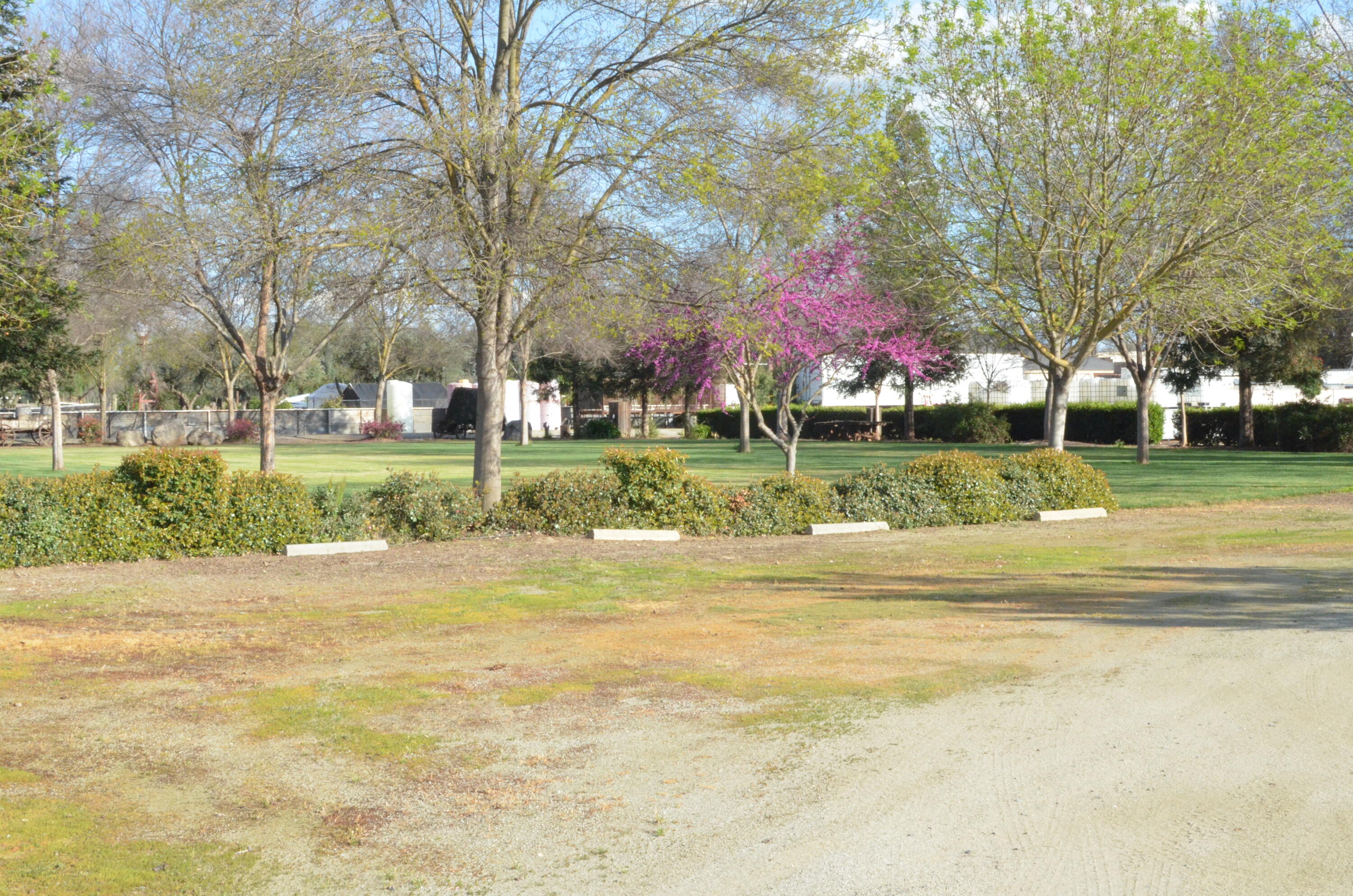 19209 Avenue 232 #232, Lindsay, CA 93247