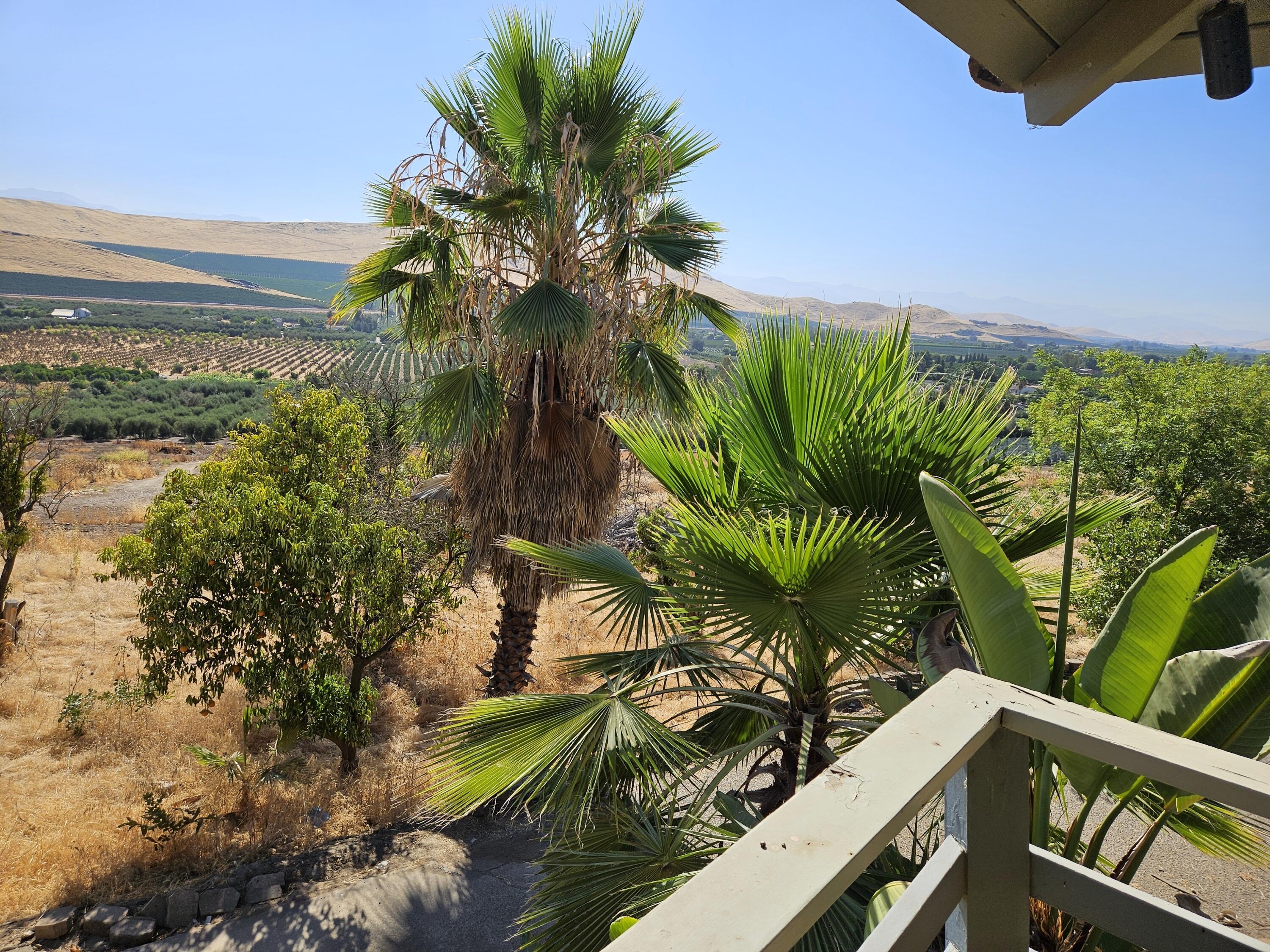 1431 Hillcrest Dr, Lindsay, CA 93247