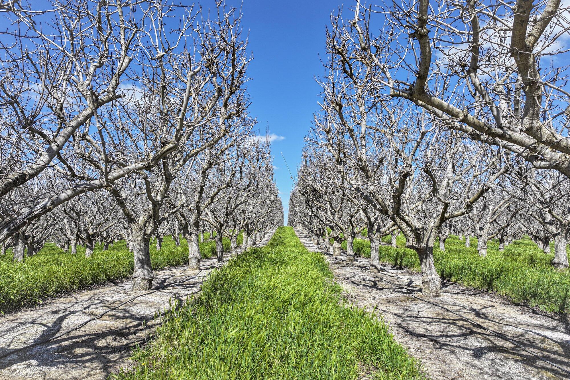 0 Kimberlina Rd, McFarland, CA 93250