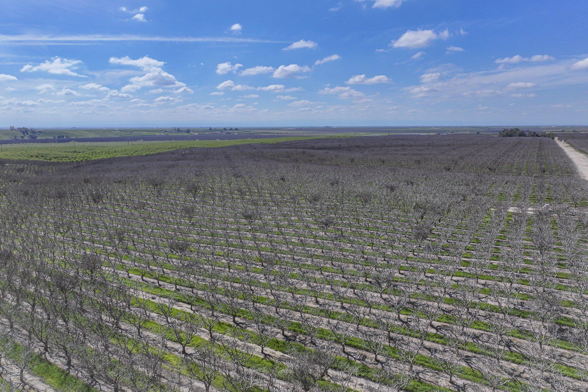 0 Kimberlina Rd, McFarland, CA 93250