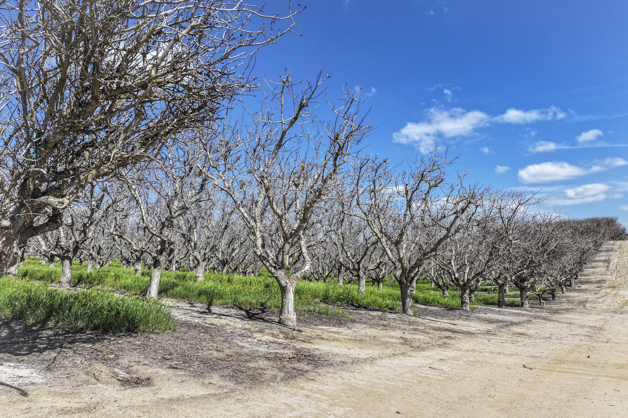 0 Kimberlina Rd, McFarland, CA 93250