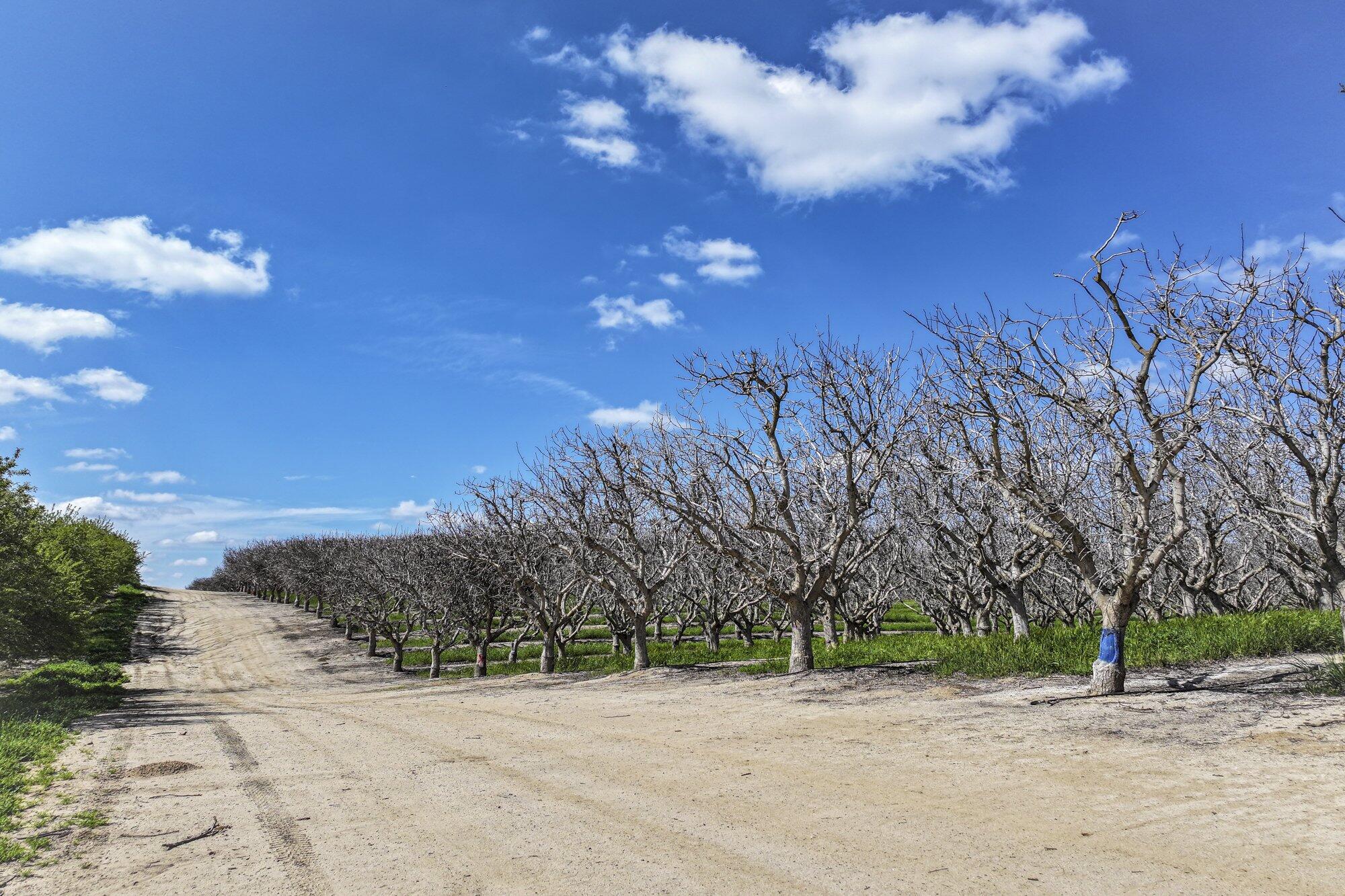 0 Kimberlina Rd, McFarland, CA 93250